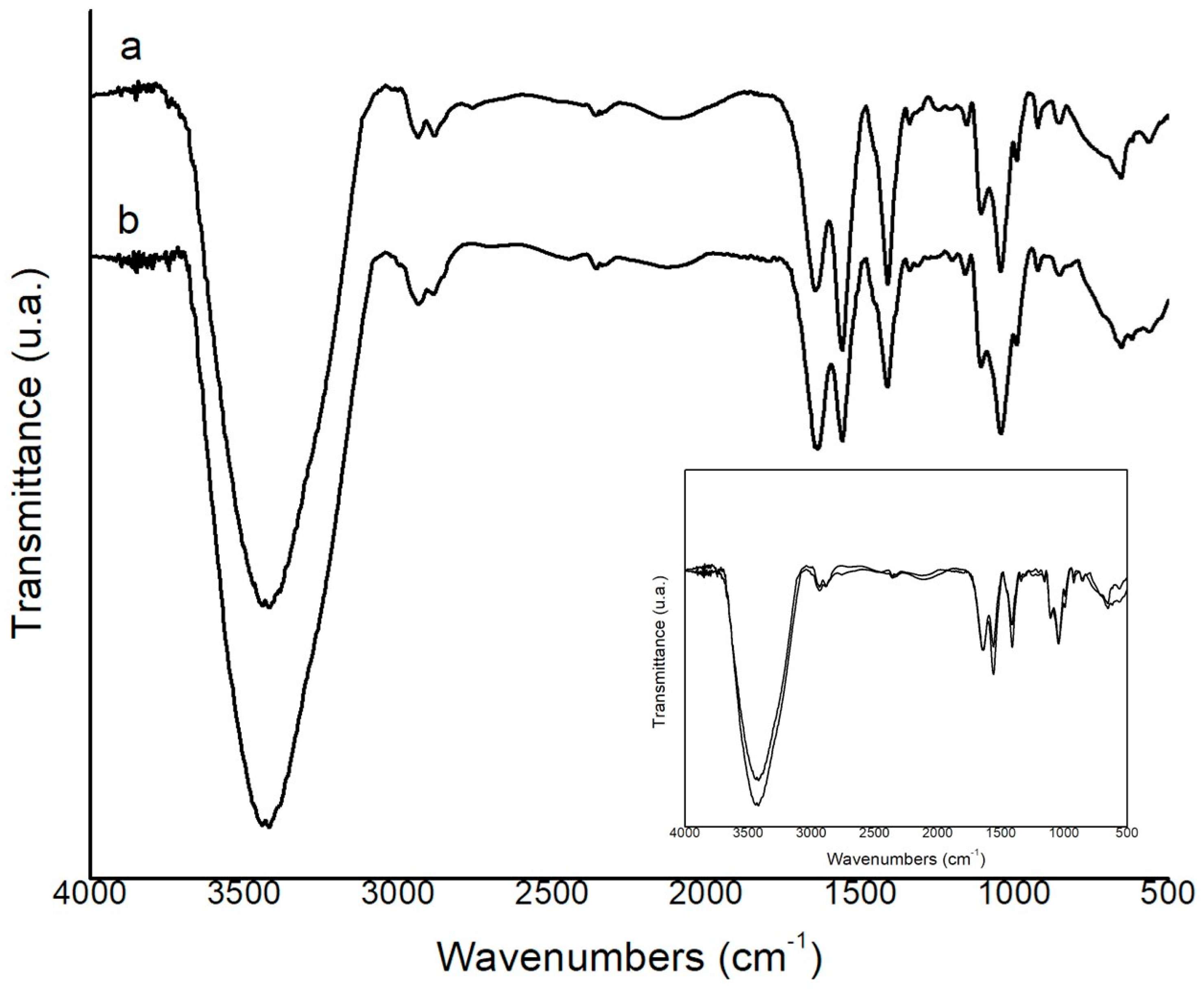 Macromol 03 00020 g002 Macromol 03 00020 g002