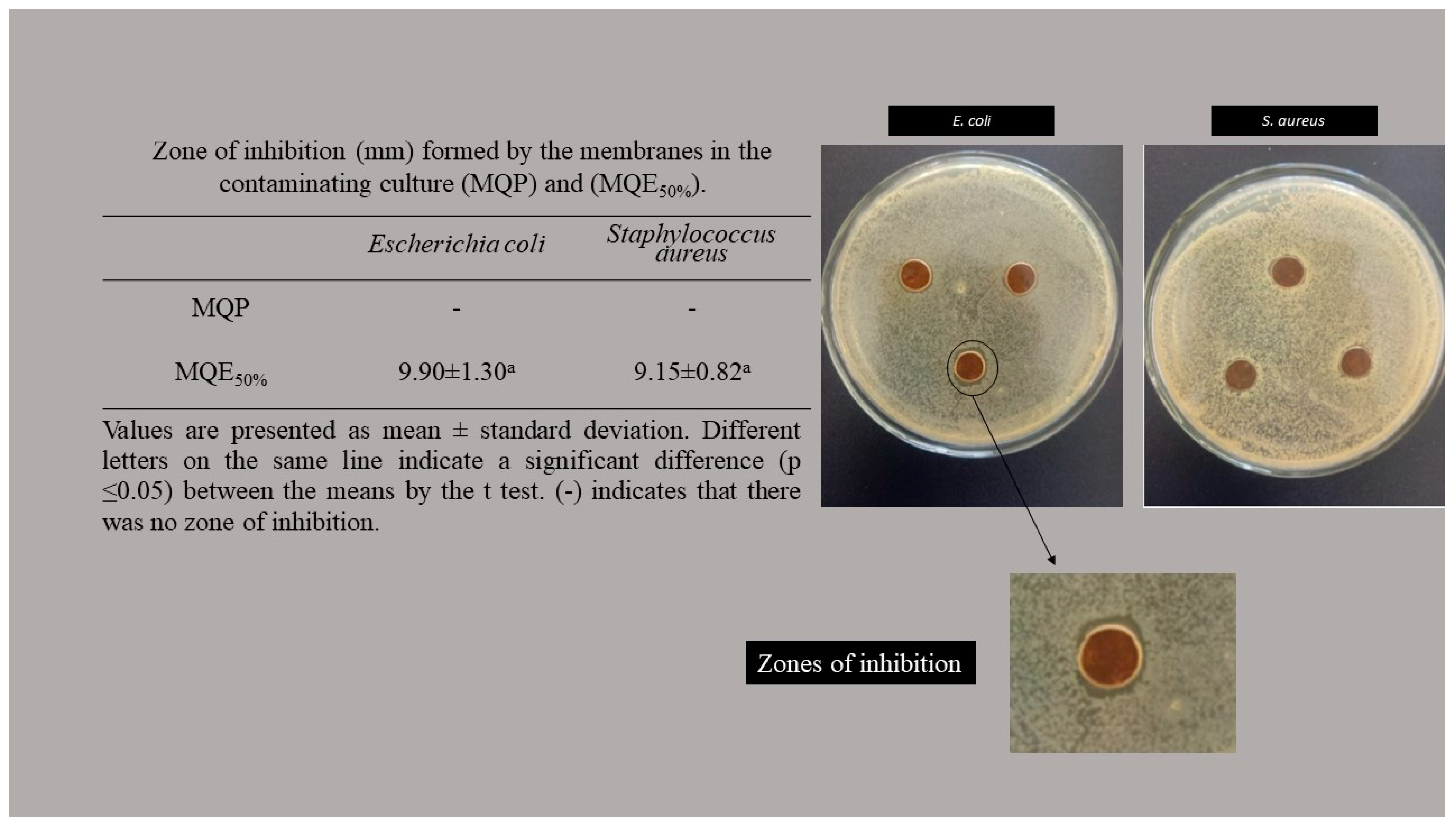 Macromol 03 00020 g003 Macromol 03 00020 g003