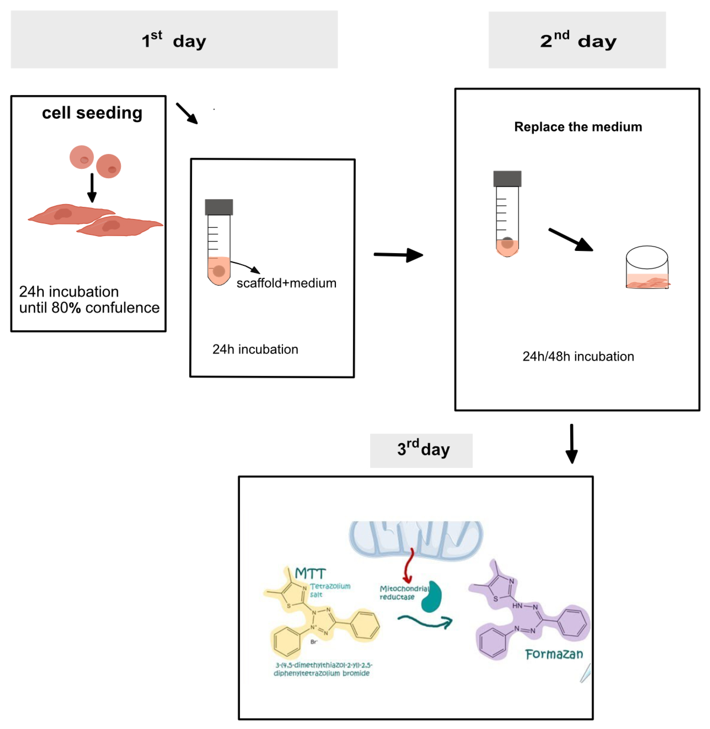 Macromol 03 00021 g001 Macromol 03 00021 g001