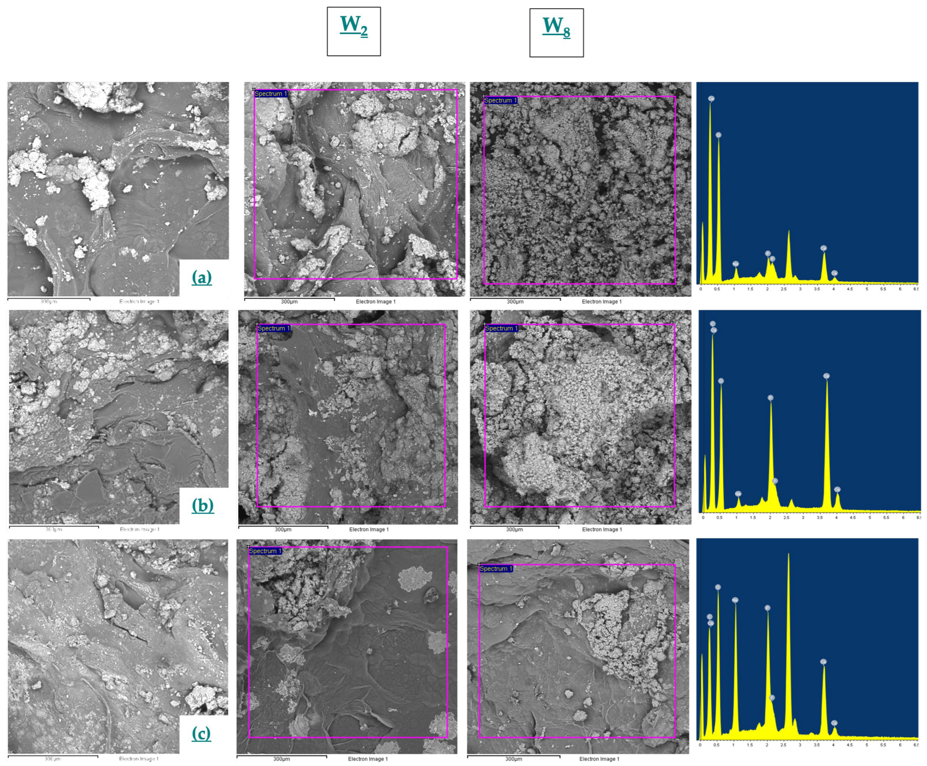 Macromol 03 00021 g003 Macromol 03 00021 g003
