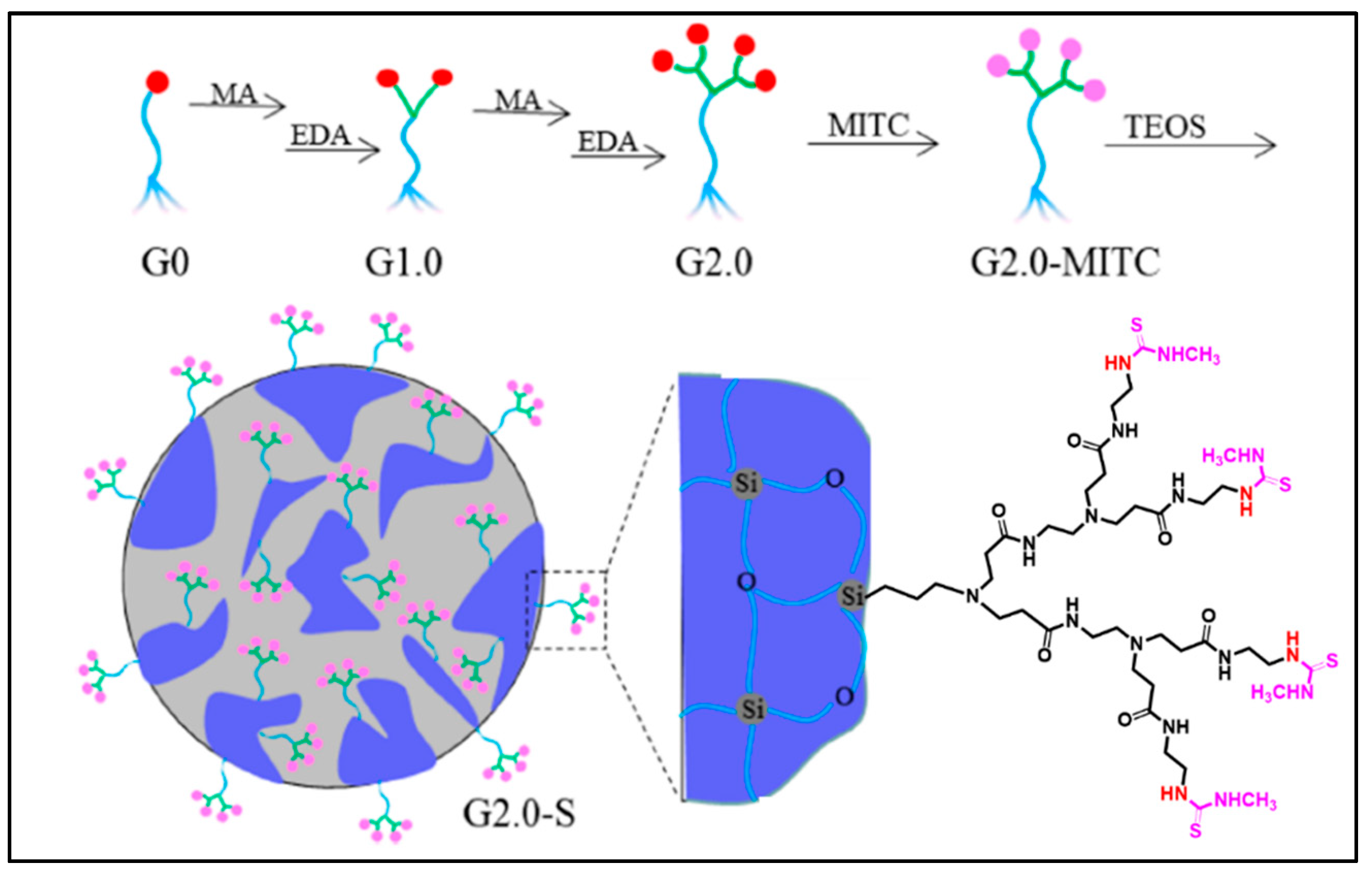 Macromol 03 00022 g004 Macromol 03 00022 g004
