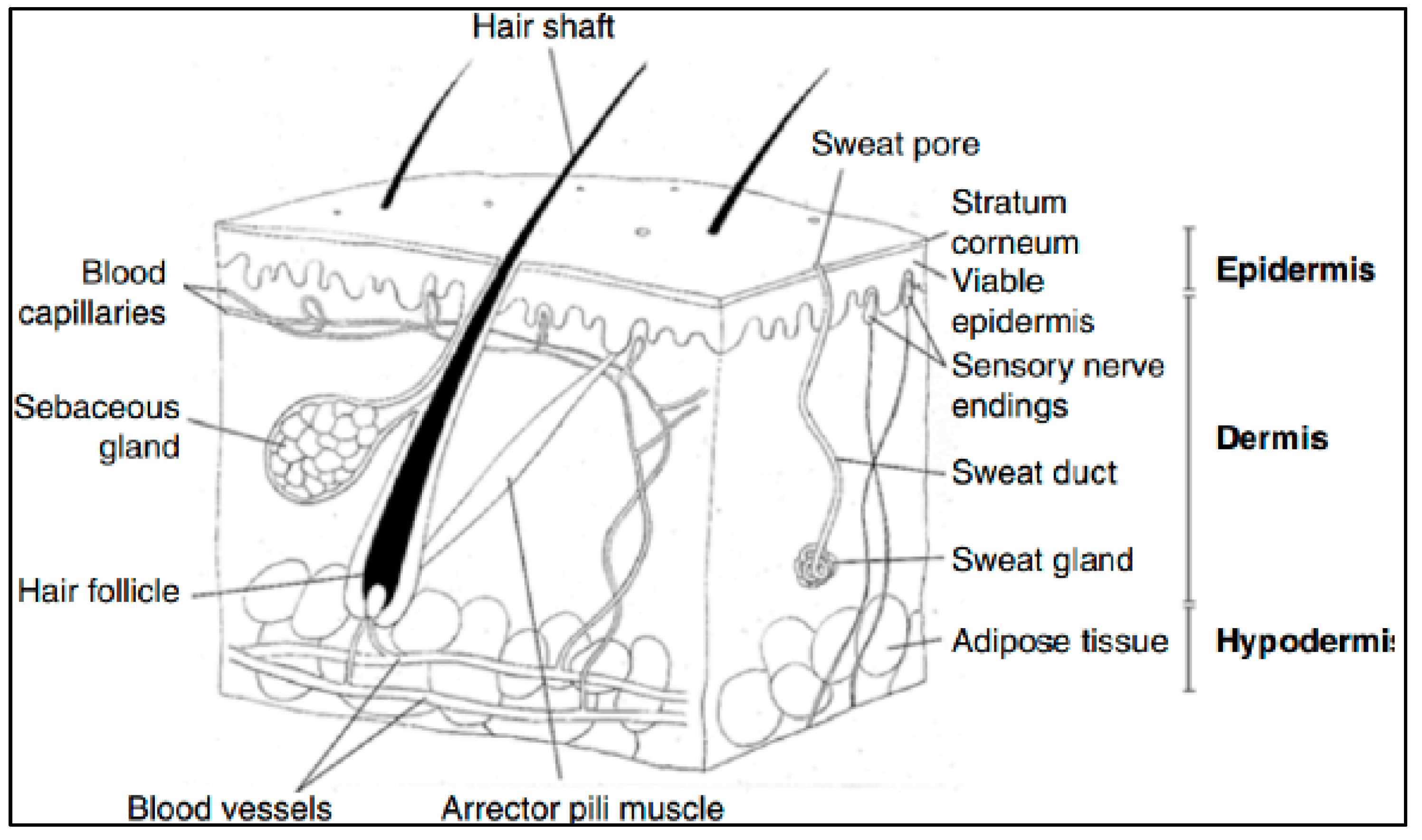 Macromol 03 00022 g012 Macromol 03 00022 g012