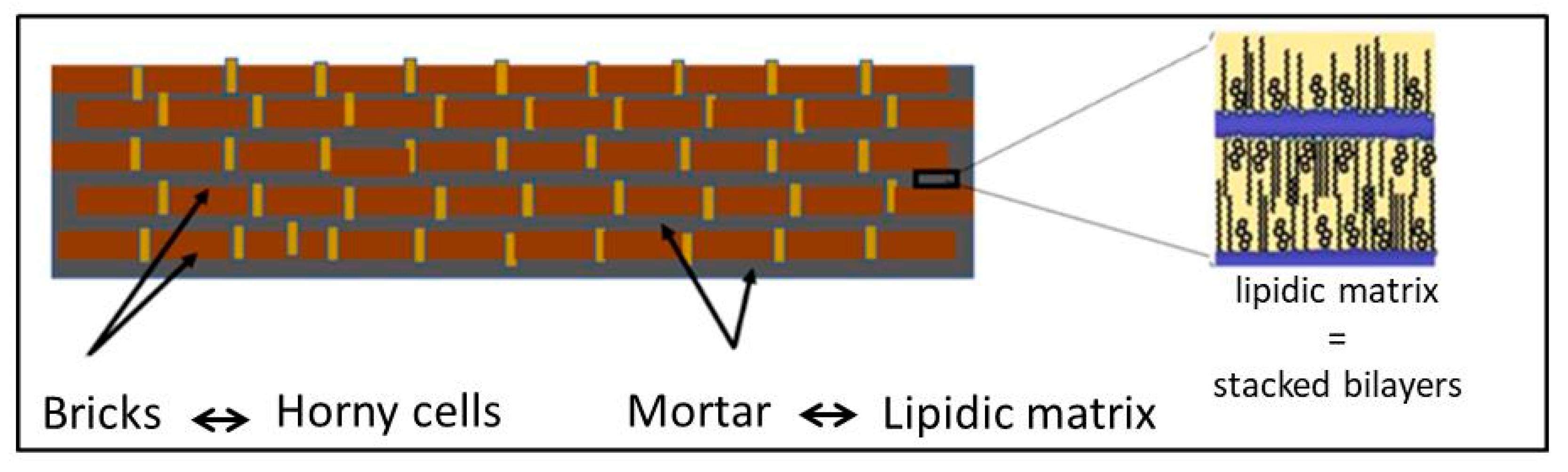 Macromol 03 00022 g014 Macromol 03 00022 g014