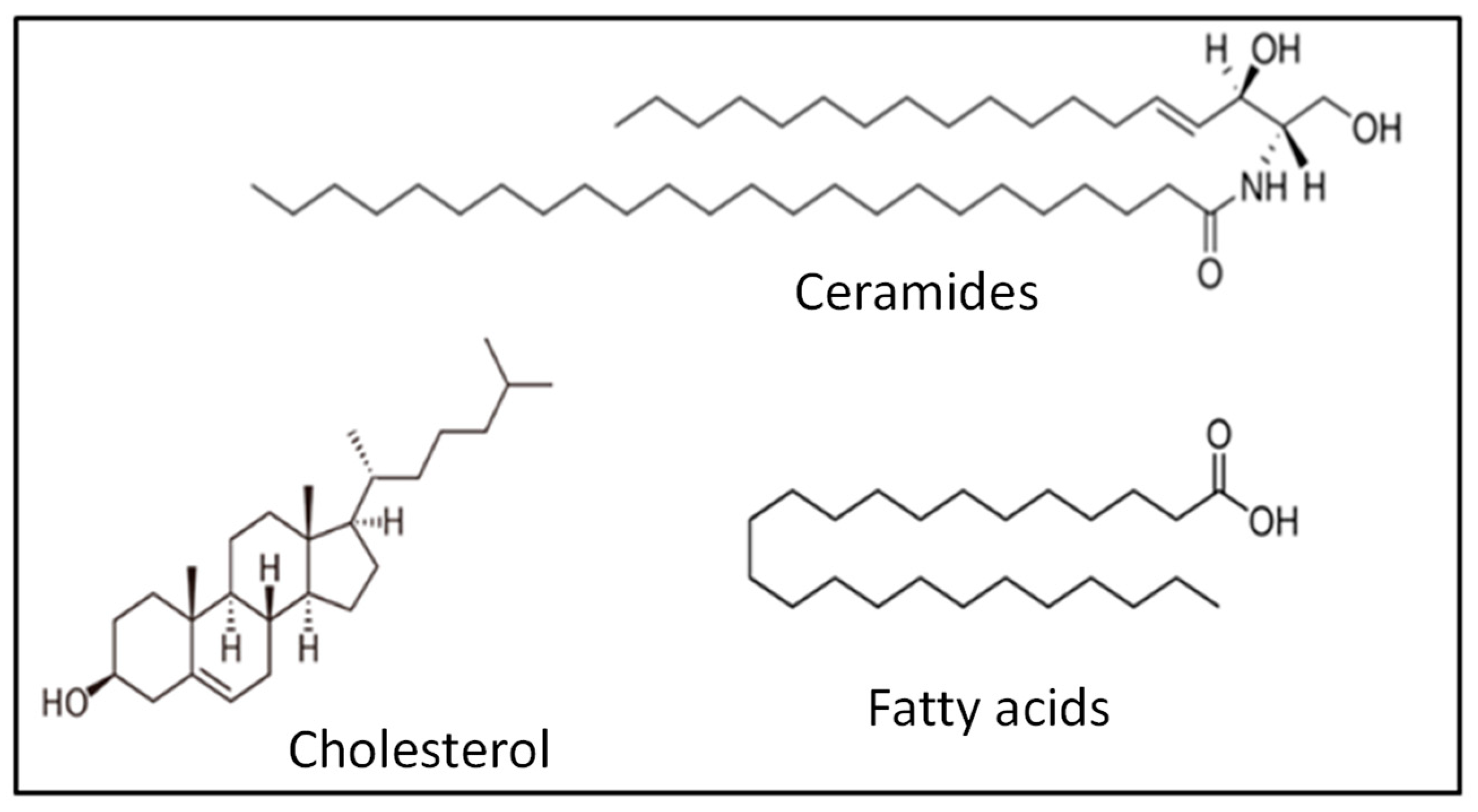 Macromol 03 00022 g015 Macromol 03 00022 g015