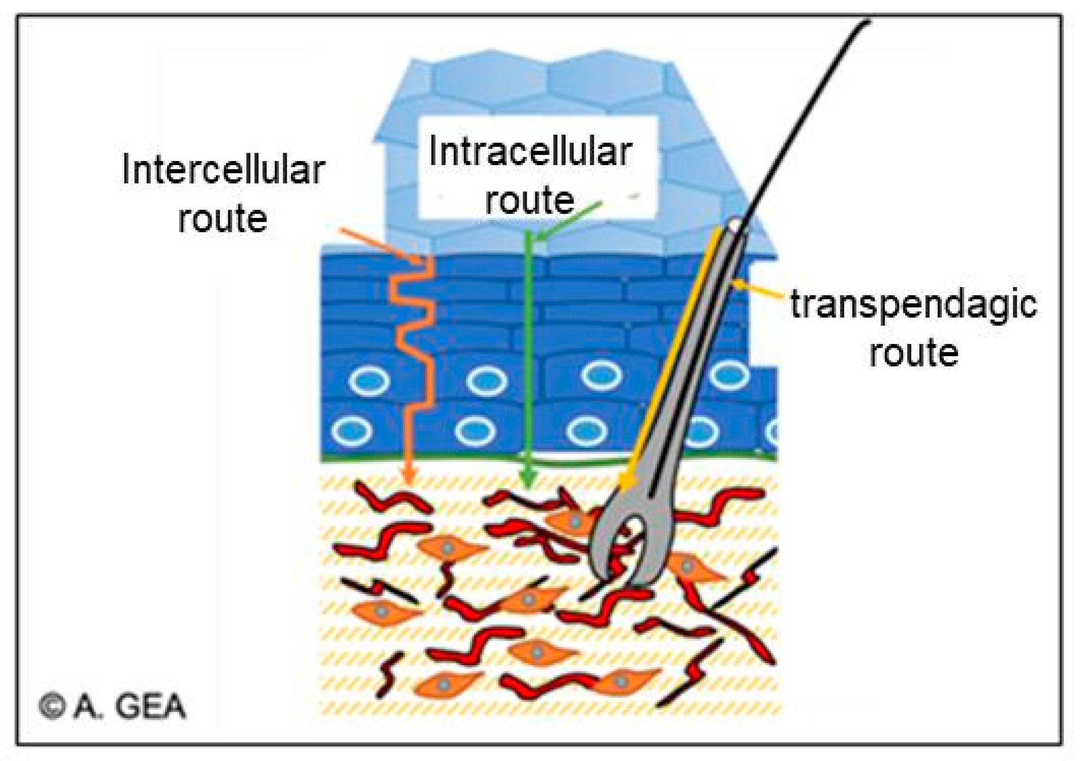 Macromol 03 00022 g016 Macromol 03 00022 g016