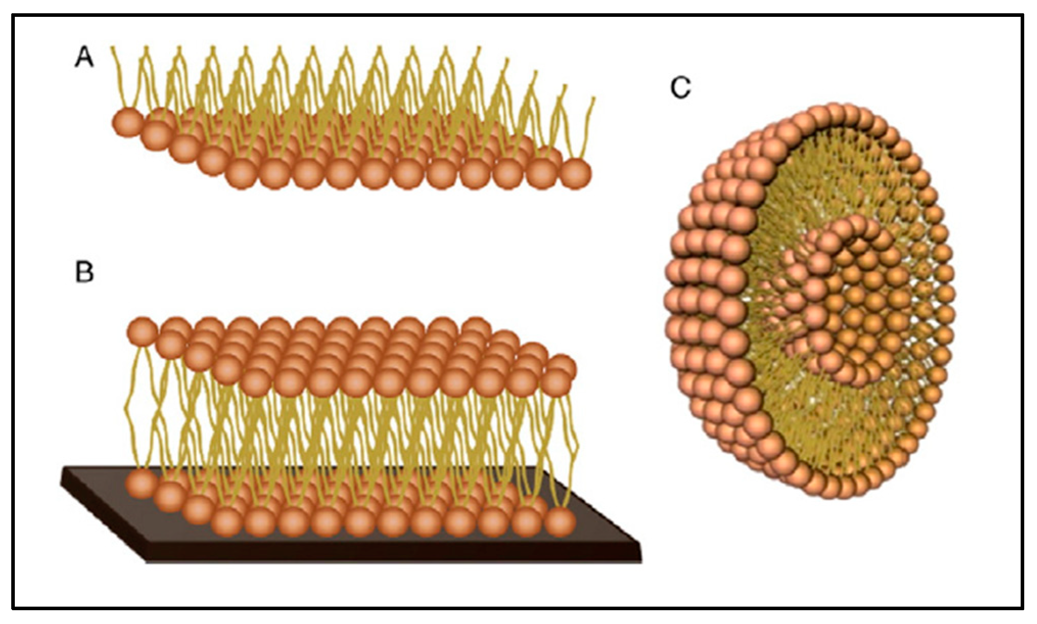 Macromol 03 00022 g017 Macromol 03 00022 g017
