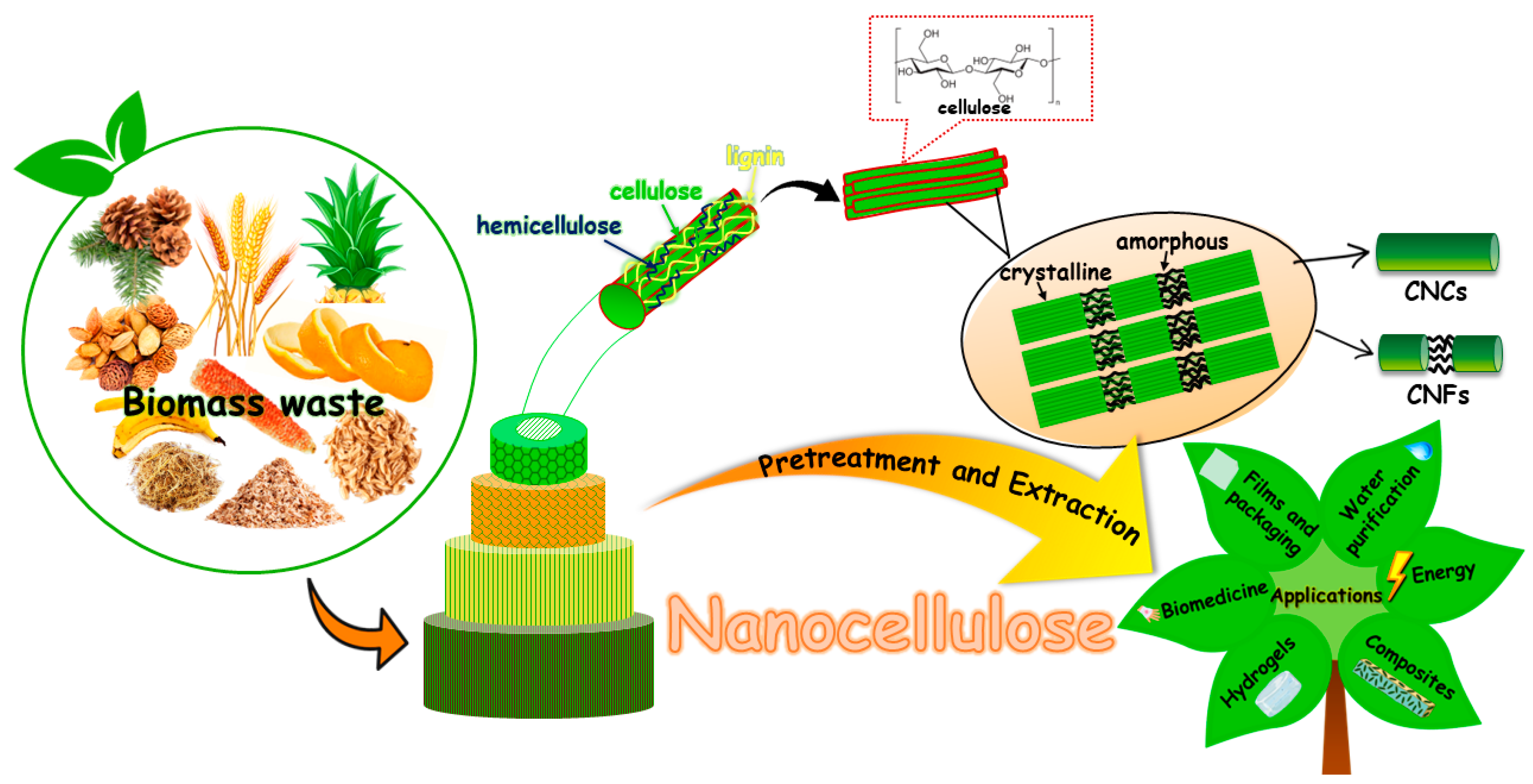 Nano Cellulose Vehicle highlights potential of plants, News