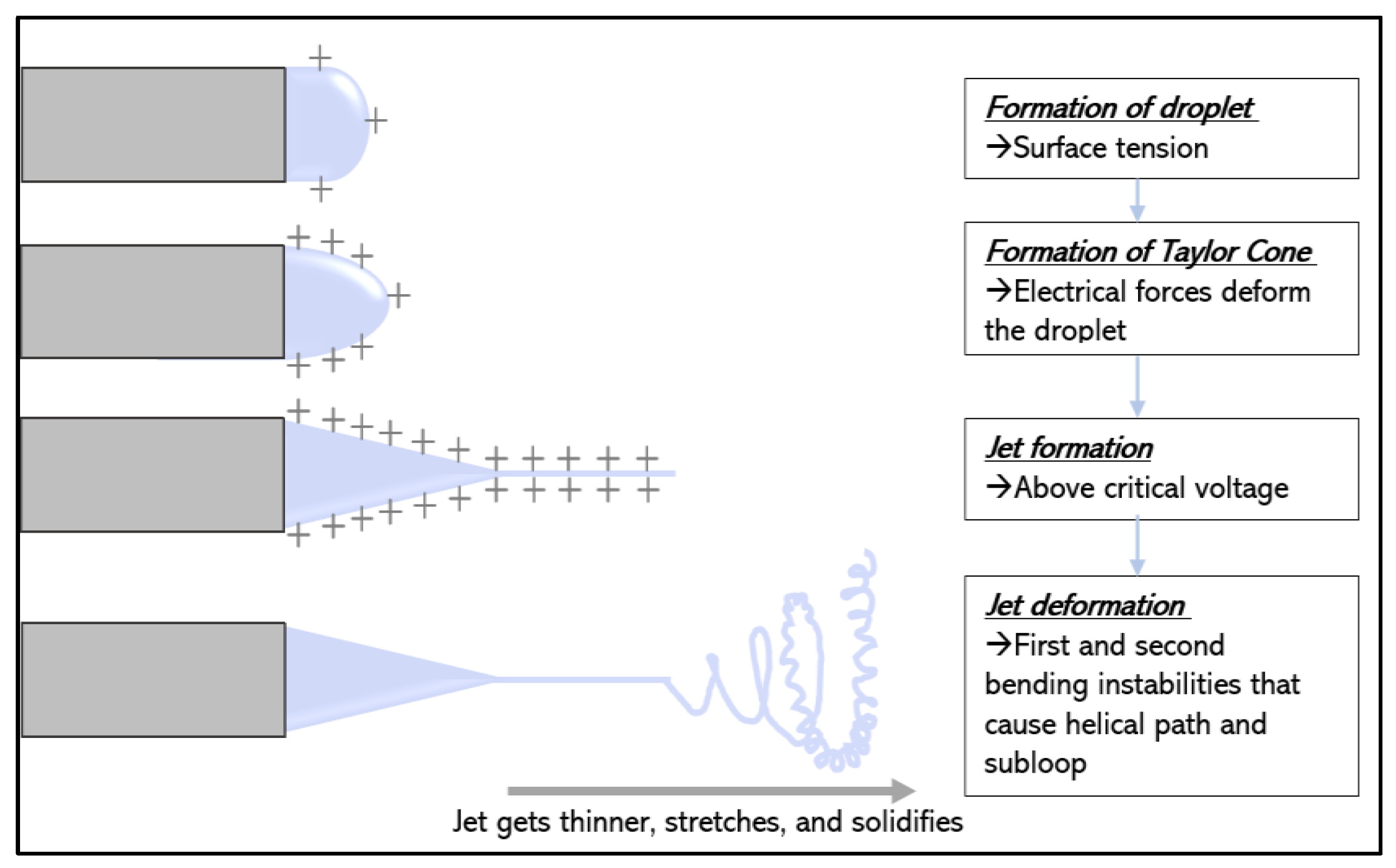 Macromol 03 00033 g002