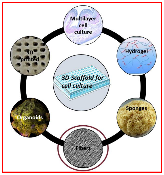 Macromol 03 00033 g007