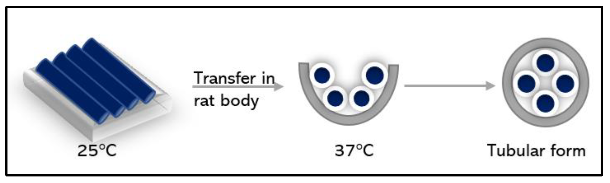 Macromol 03 00033 g014