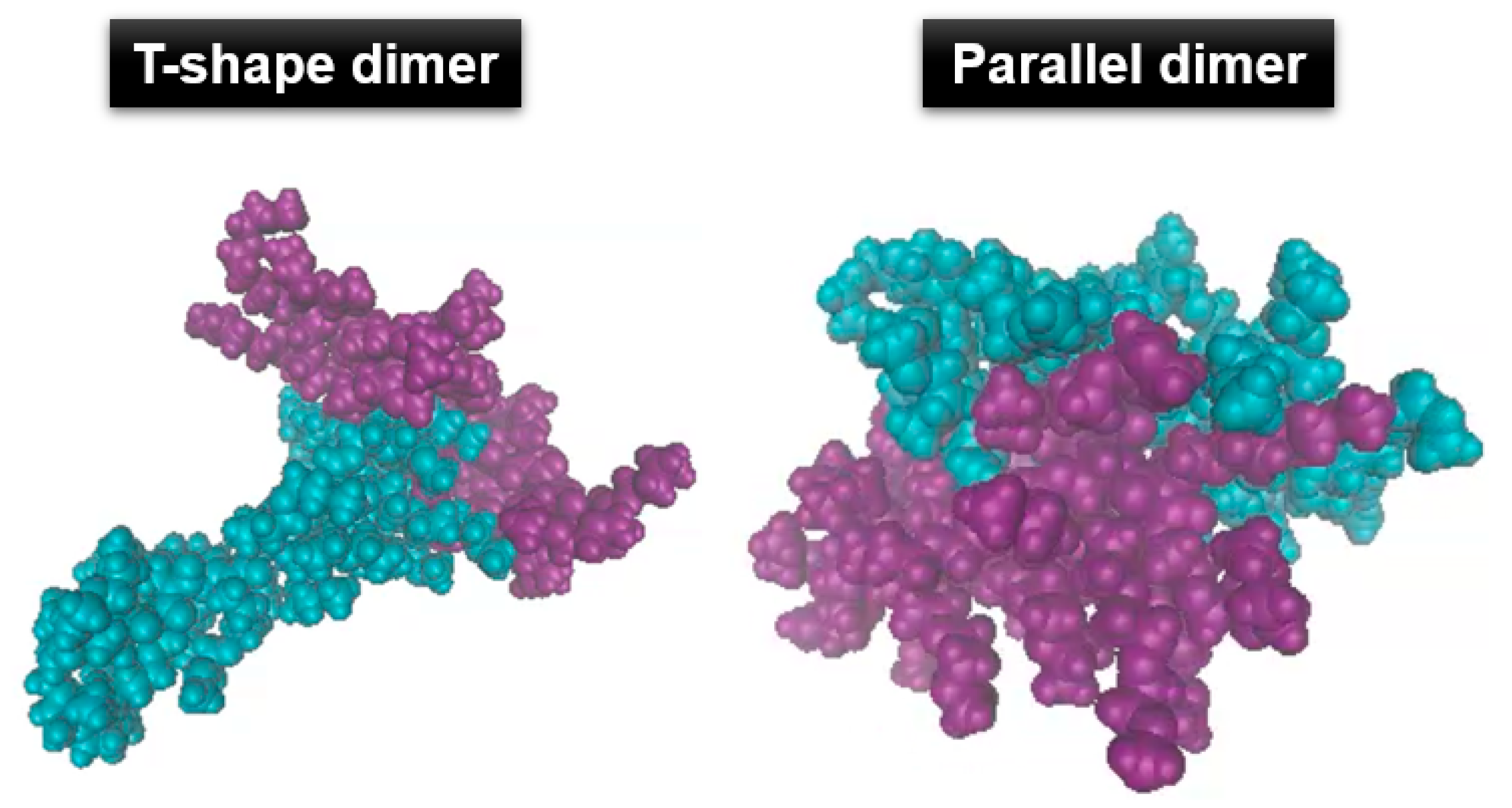 Macromol 03 00036 g005