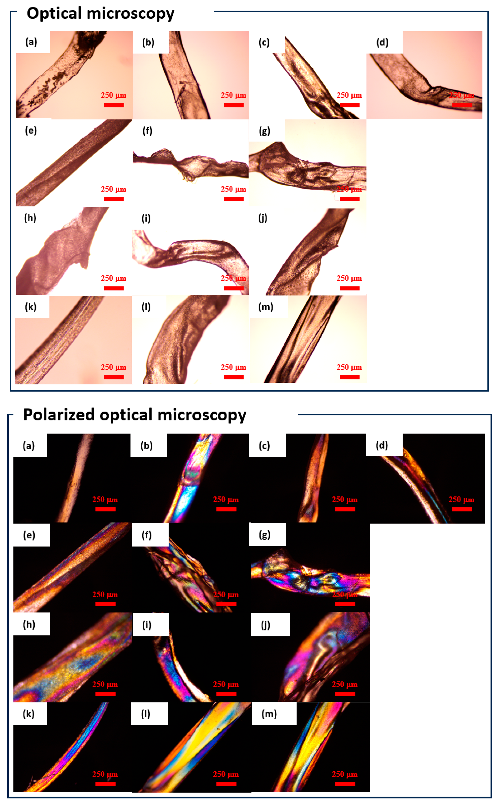 Macromol 03 00042 g004