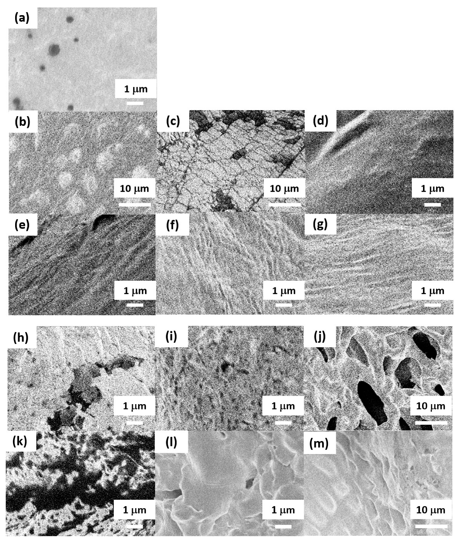 Macromol 03 00042 g005