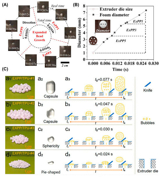 zuum  Transcriptional Regulation of Ripening in Chili Pepper