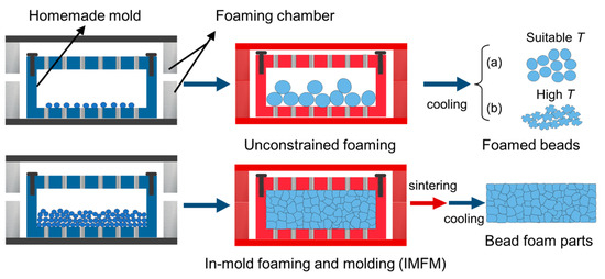 中華のおせち贈り物 Polymer Bead Molding Preparation, Foam on Review A Foams: スポーツトイ・アクショントイ