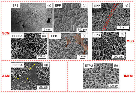 Polymer Bead Foams: A Review on Foam Preparation, Molding