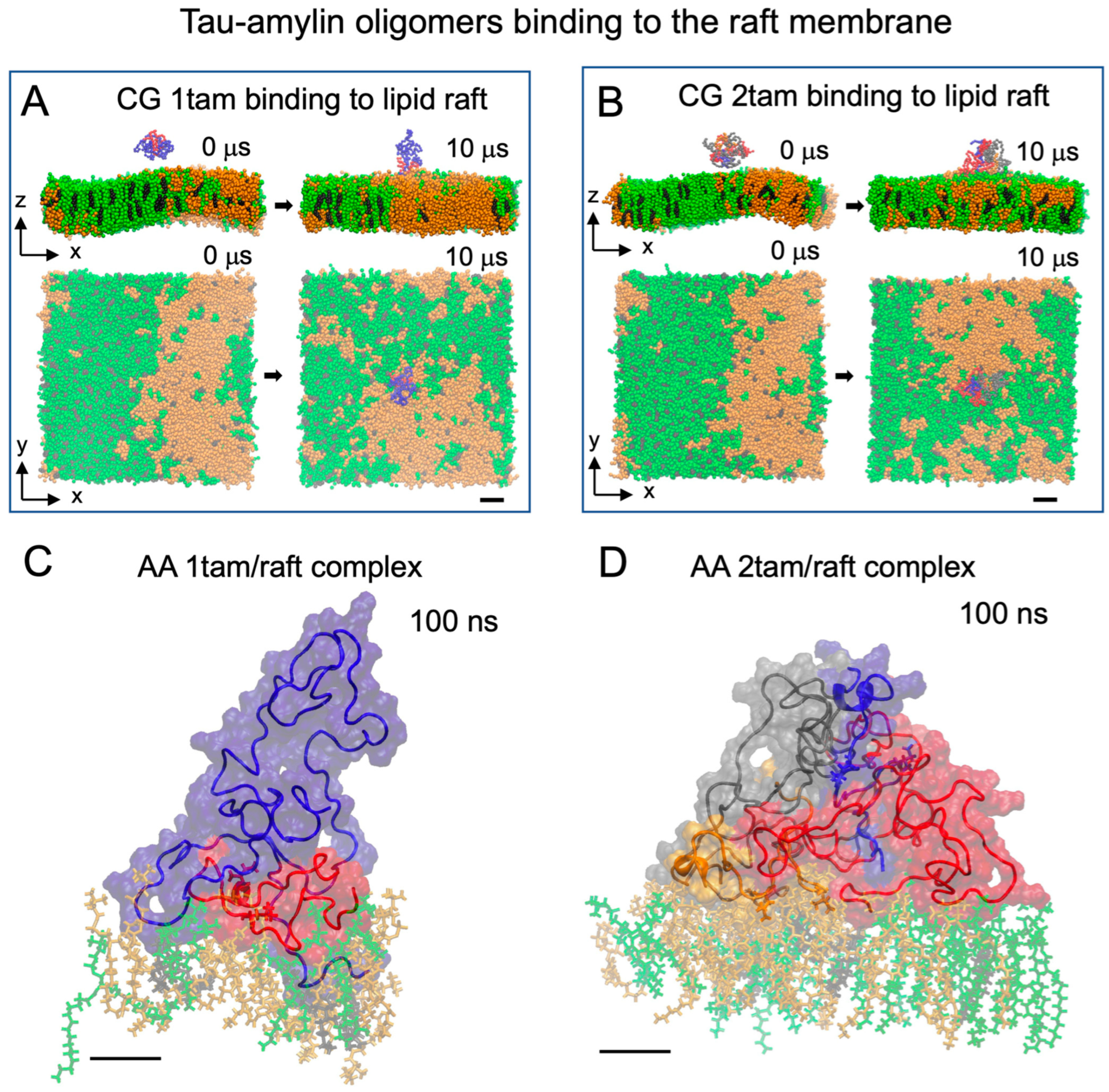 Macromol 03 00046 g002