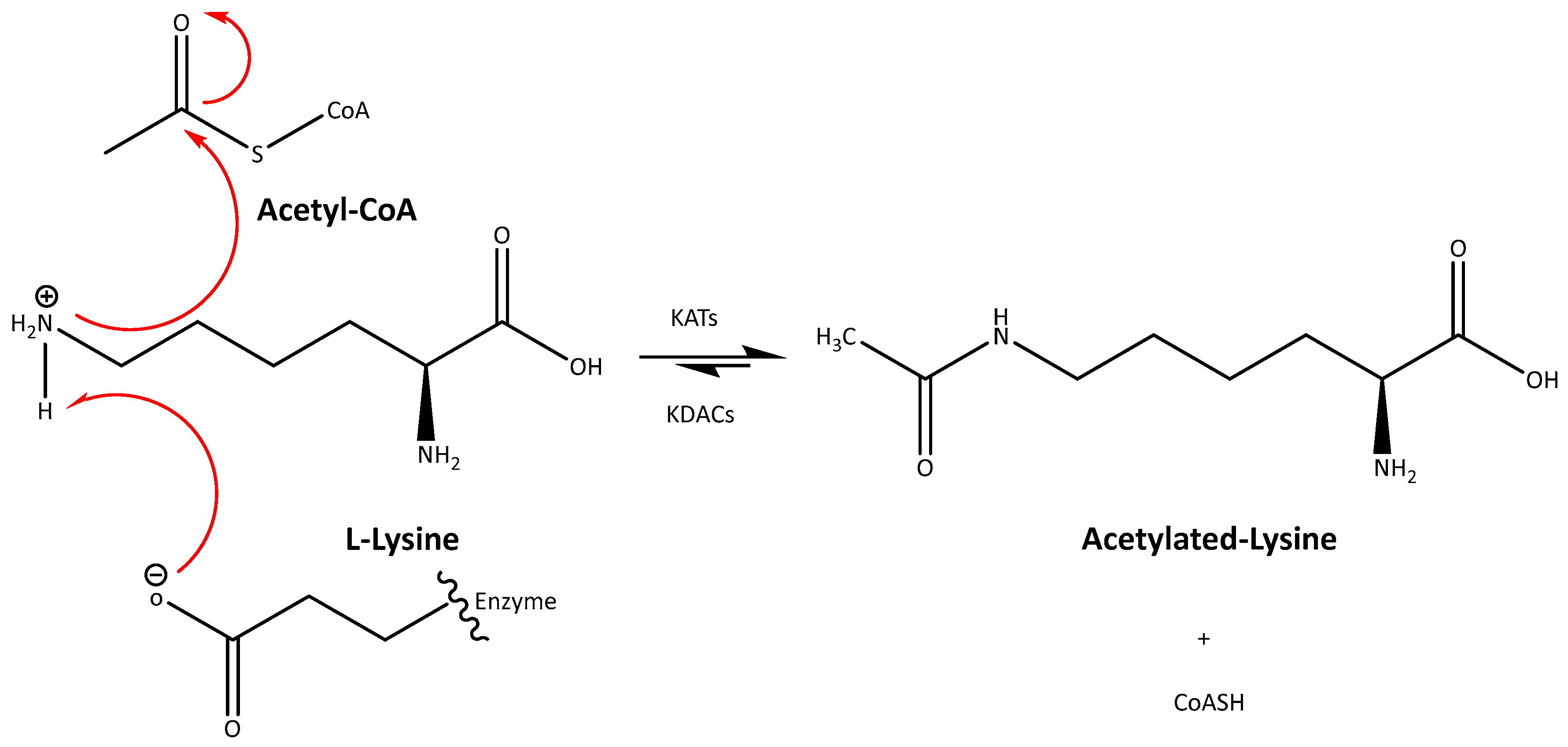 Macromol 04 00002 g004