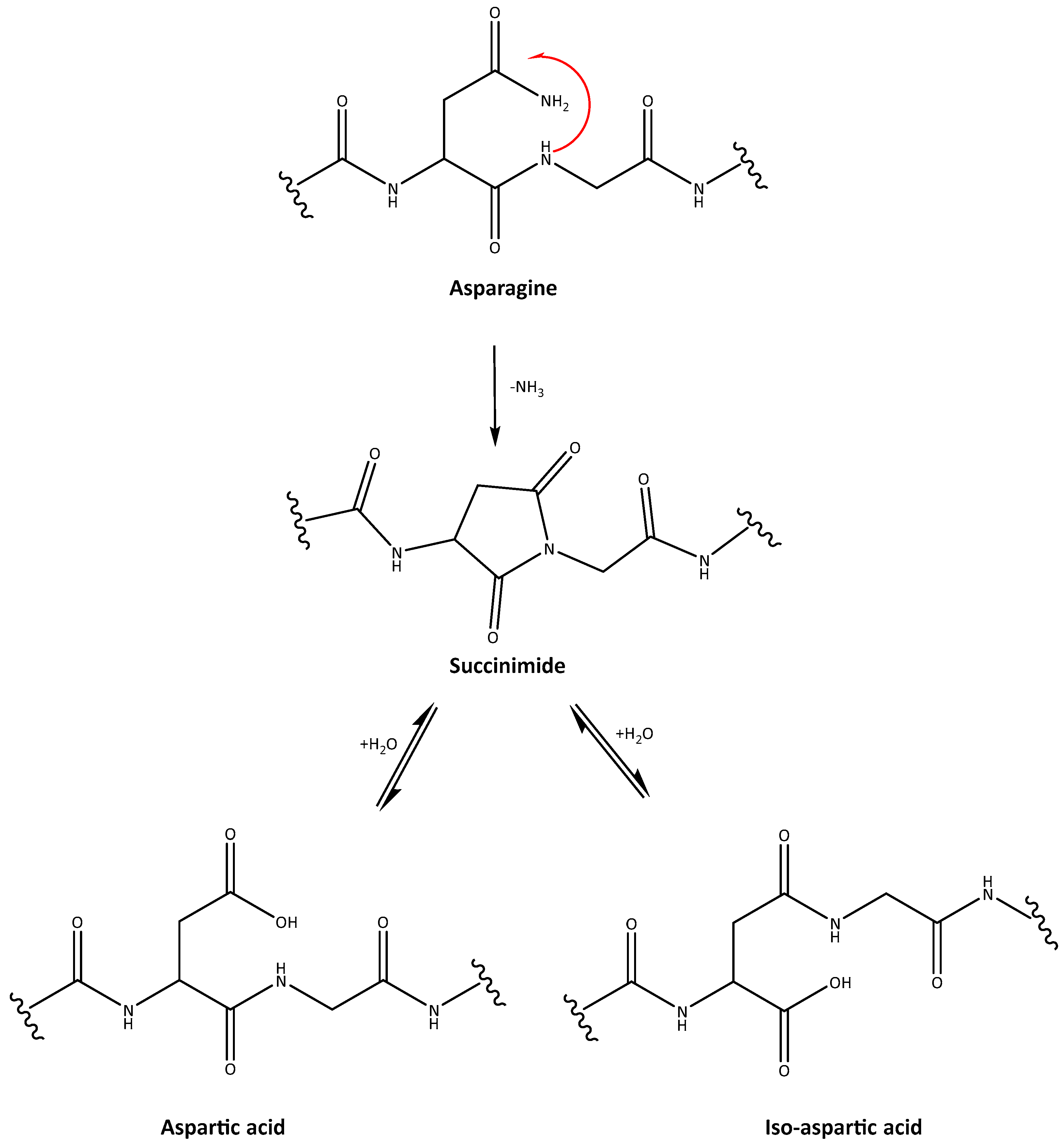 Macromol 04 00002 g005