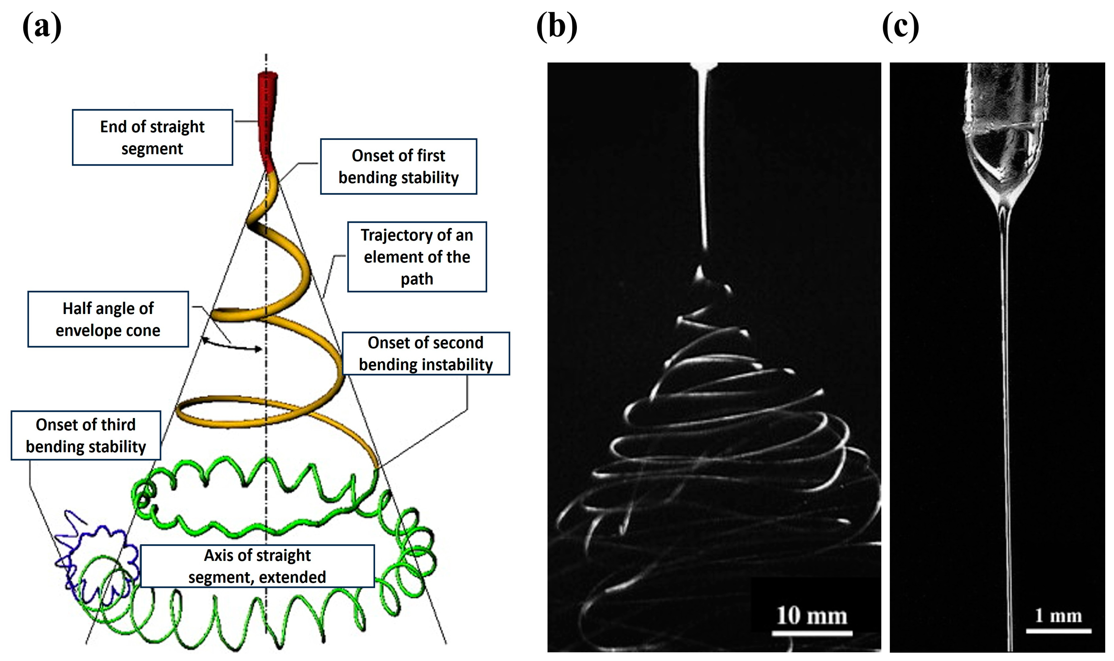 Macromol 04 00004 g002