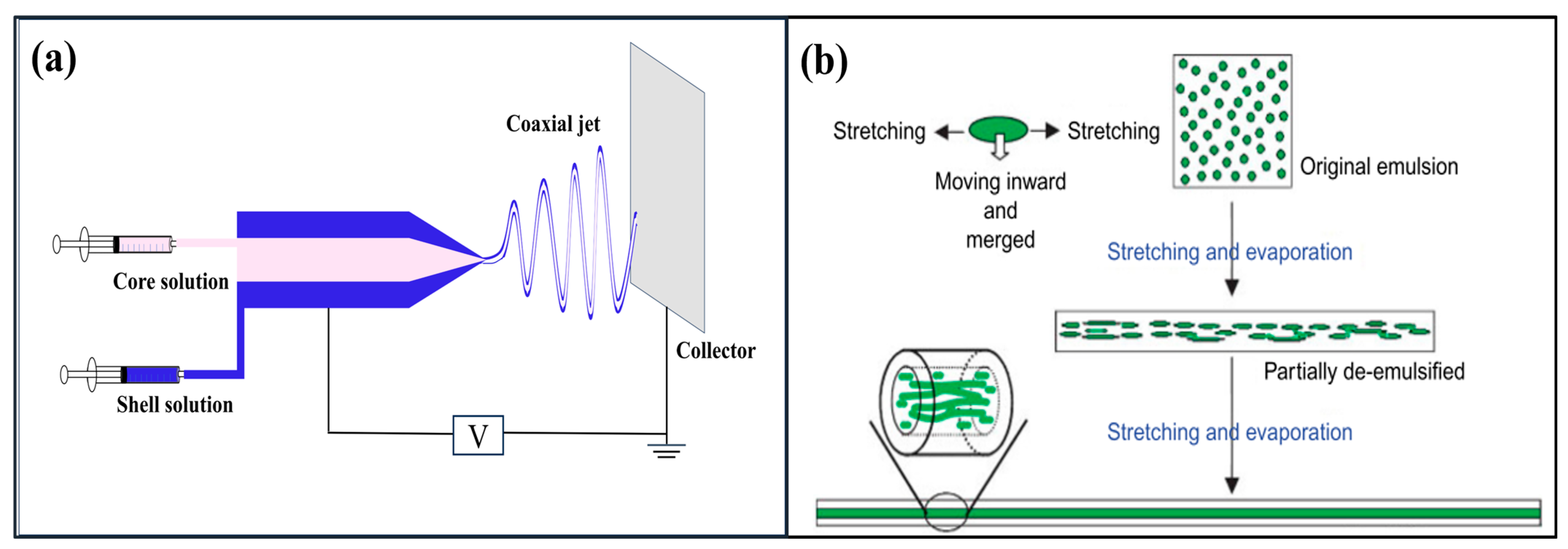 Macromol 04 00004 g008