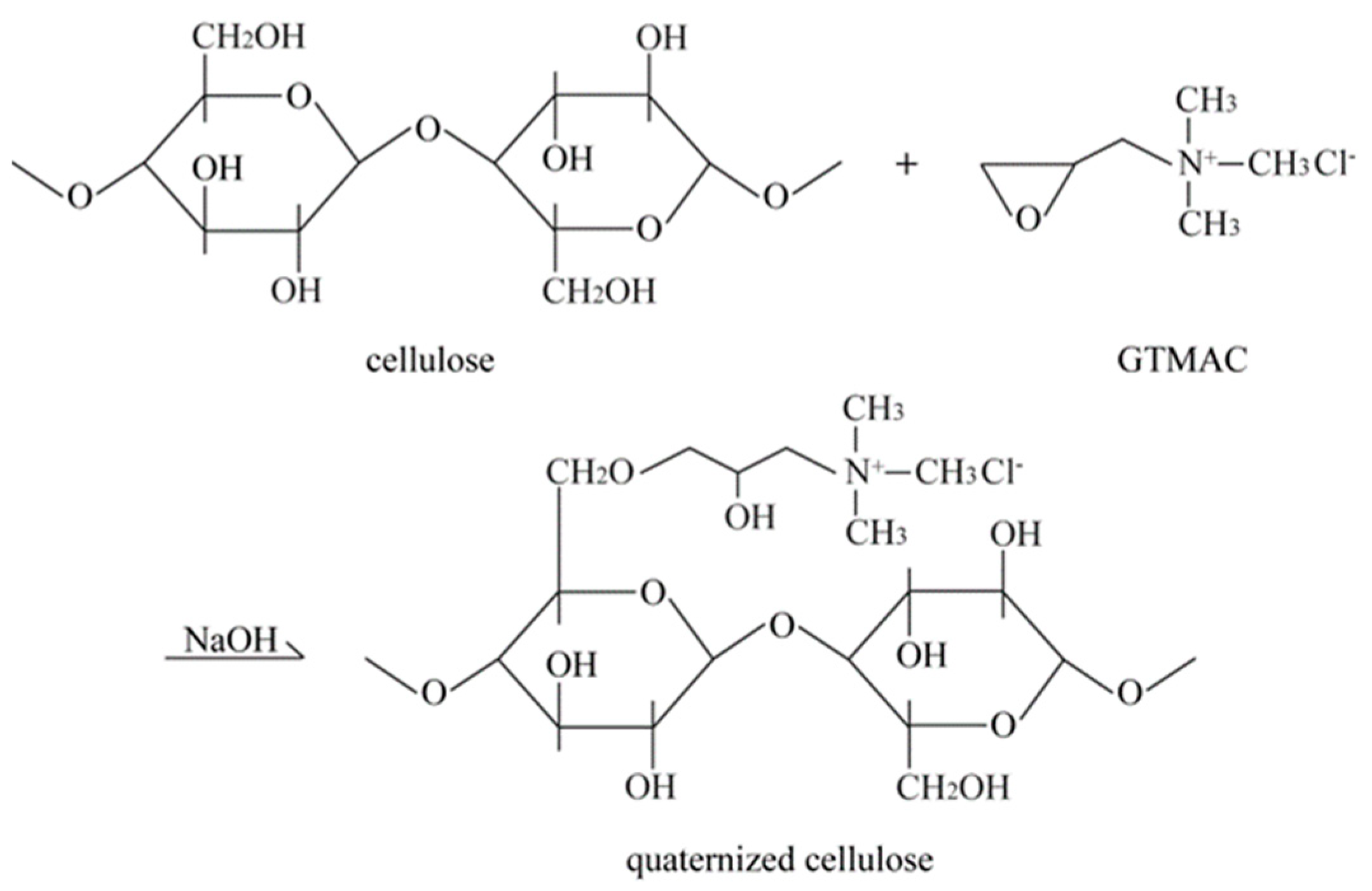Macromol 04 00006 sch001