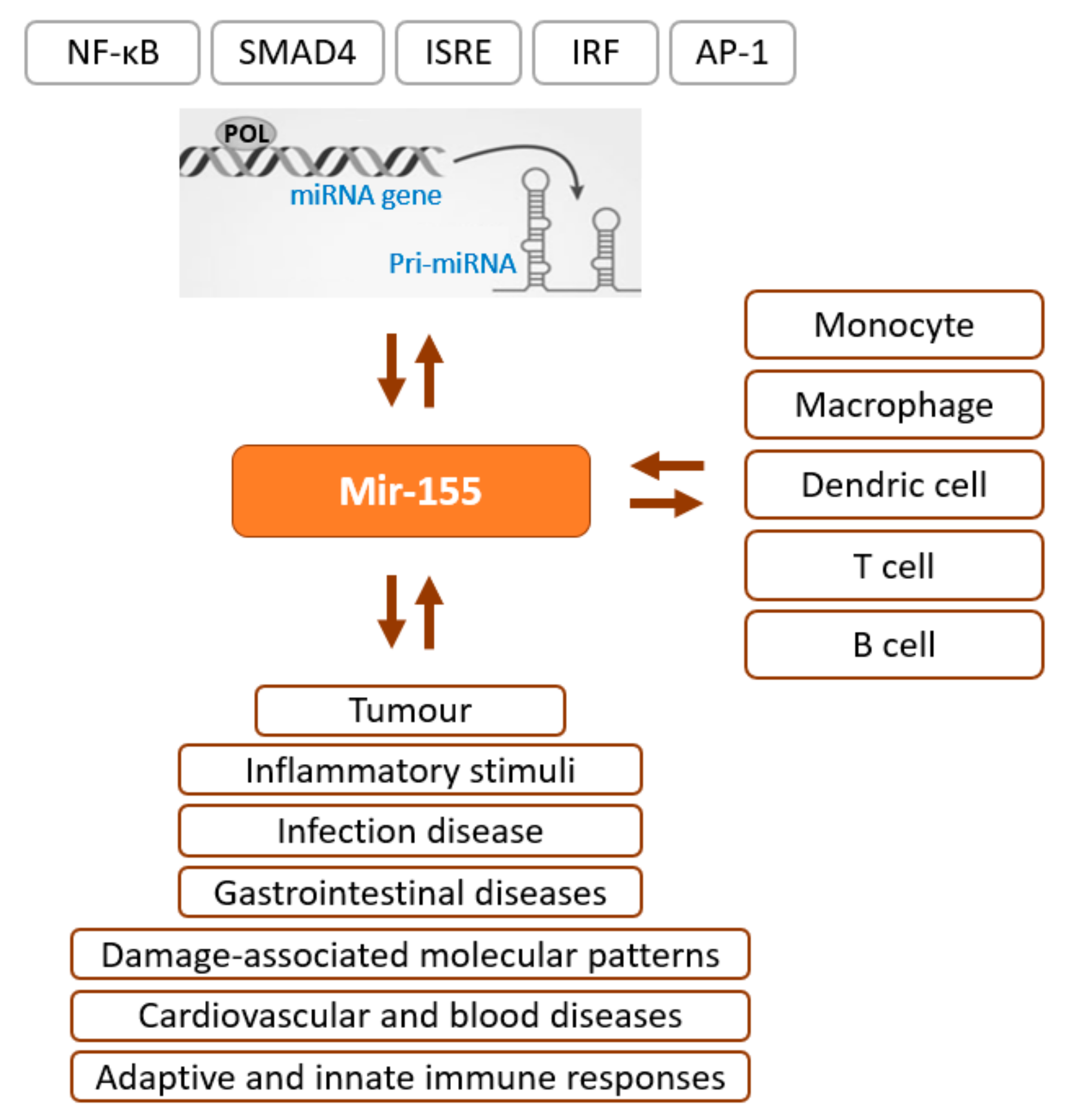 Macromol 04 00009 g001