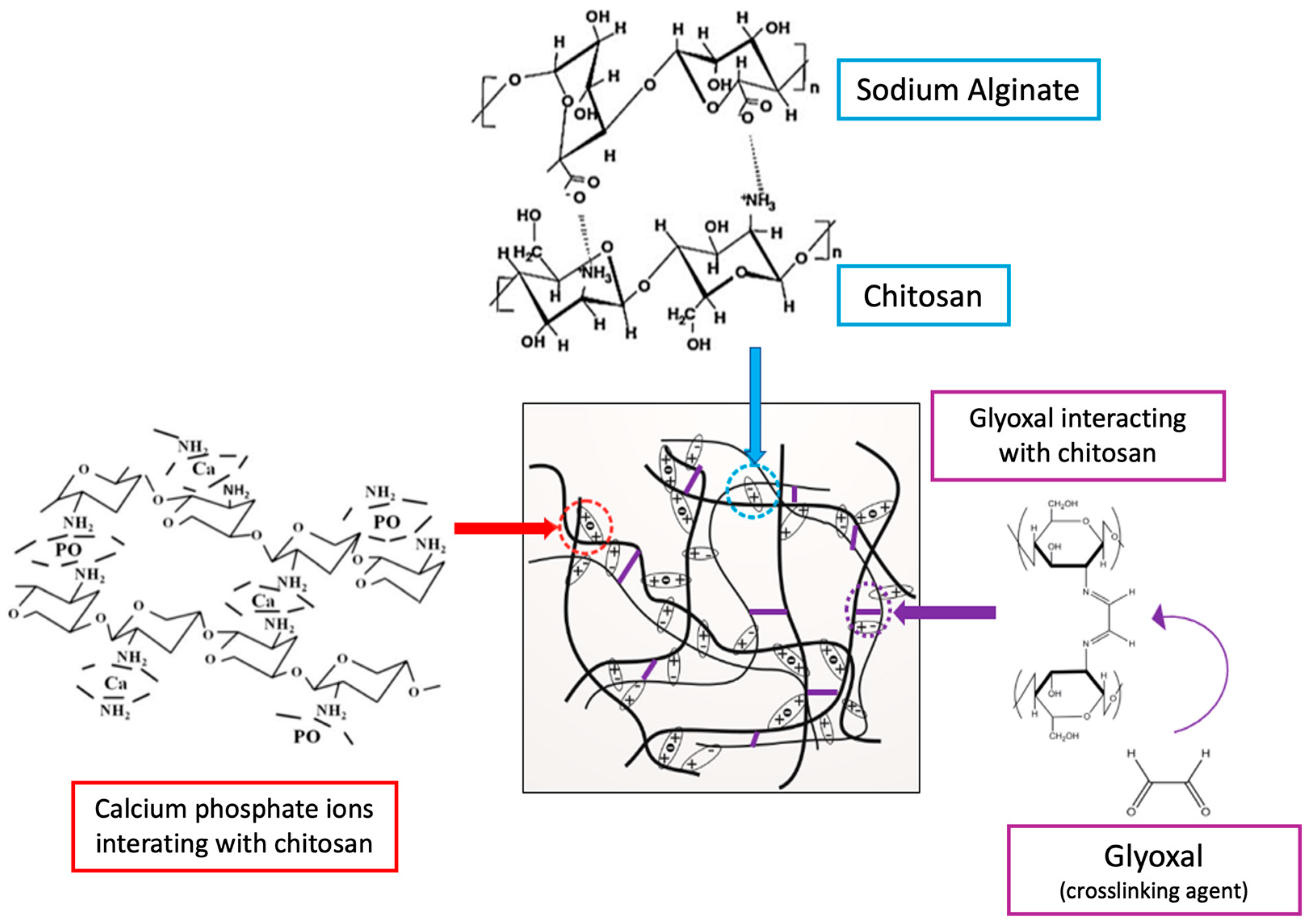 Macromol 04 00014 g002 Macromol 04 00014 g002
