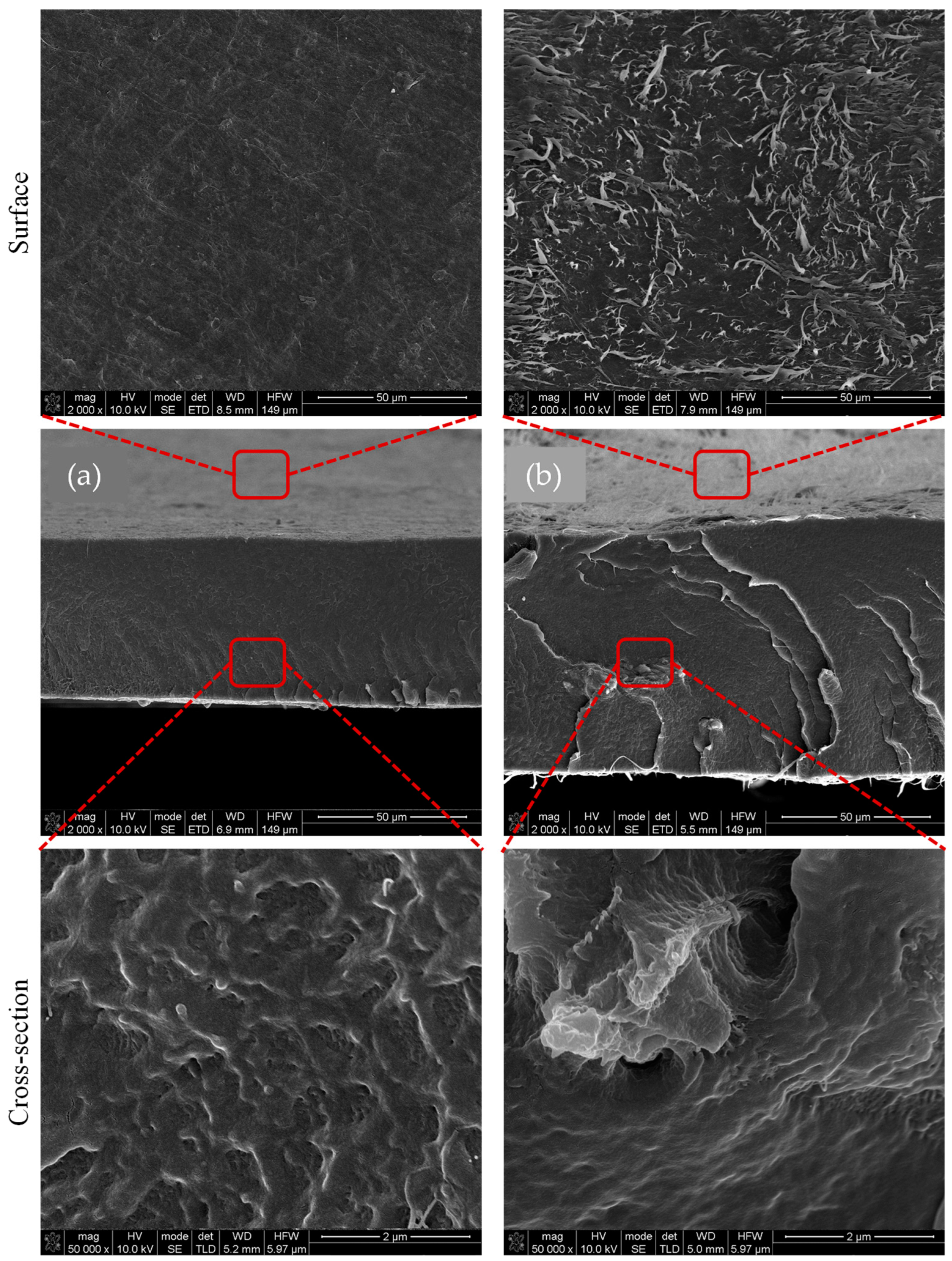 Macromol 04 00015 g002