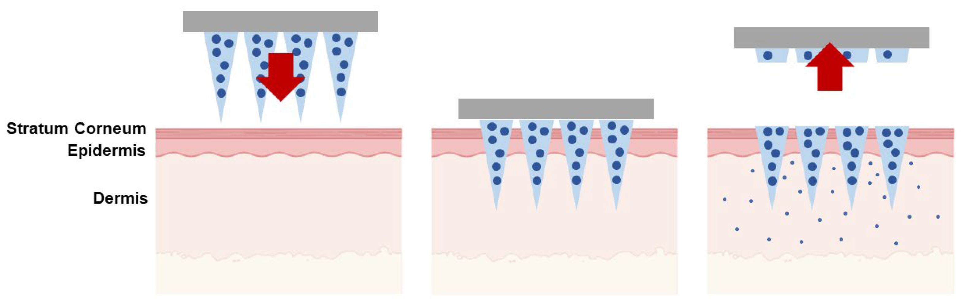 Macromol 04 00019 g004