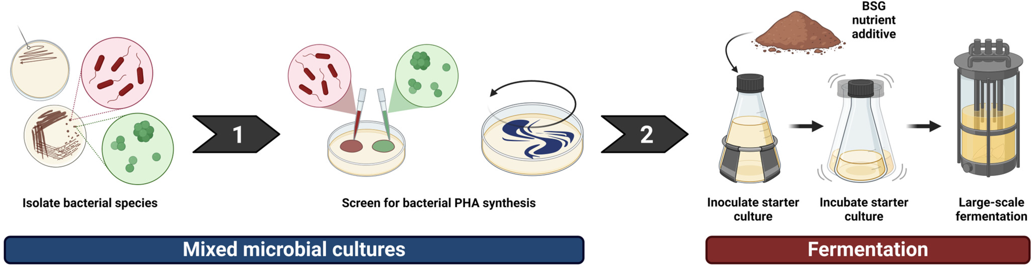 Macromol 04 00026 g004