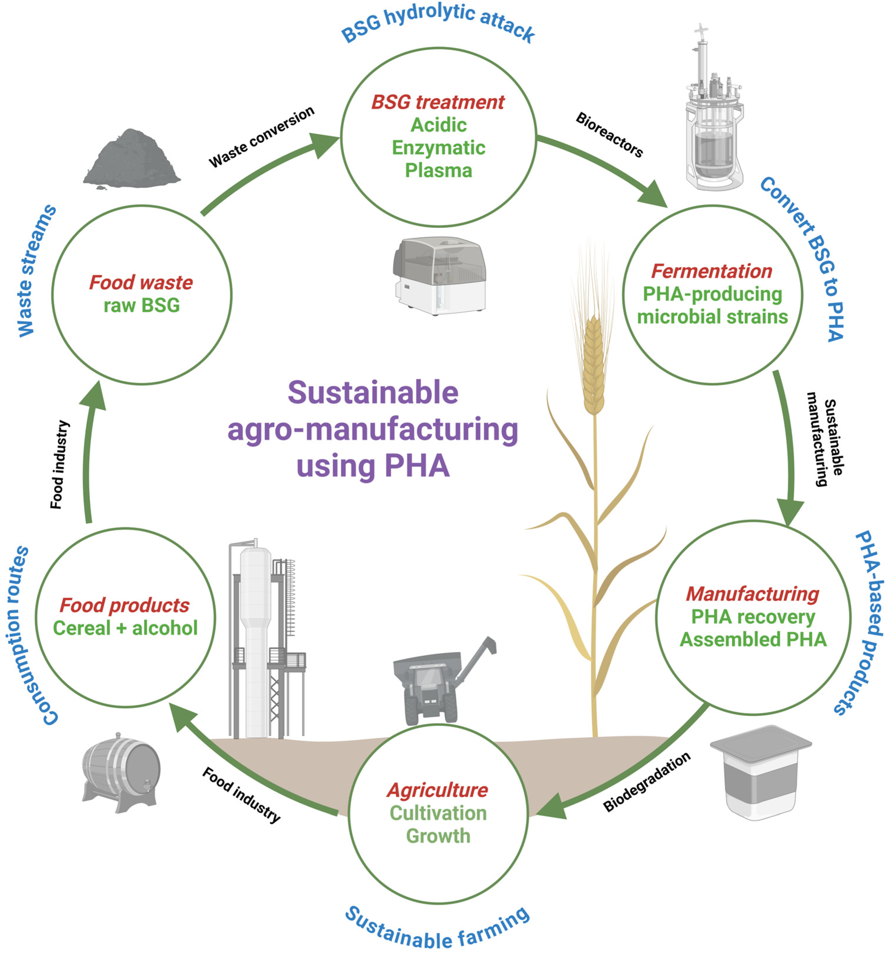 Macromol 04 00026 g005