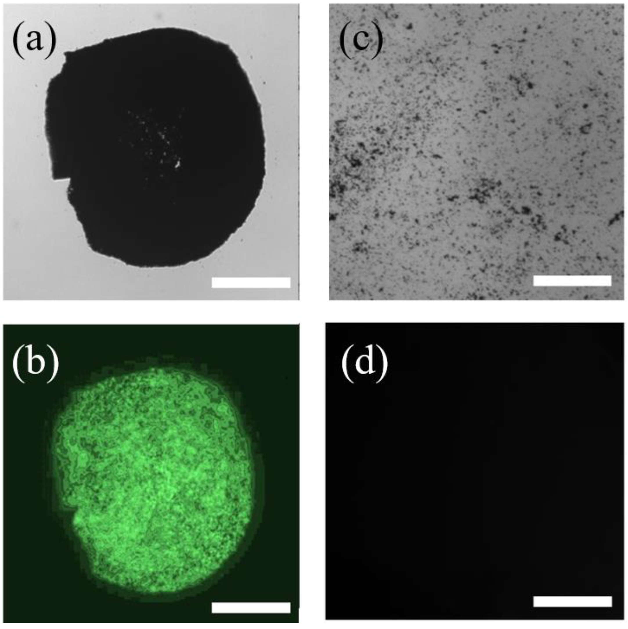 Macromol 04 00027 g001