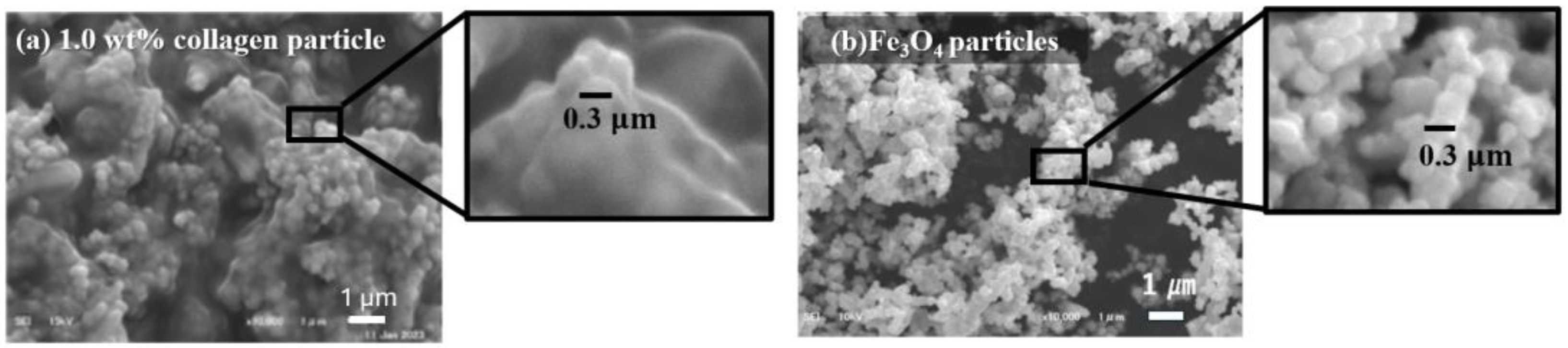Macromol 04 00027 g002