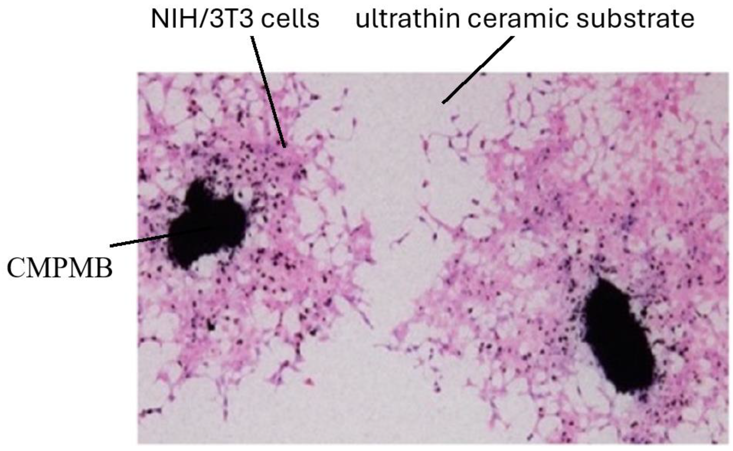 Macromol 04 00027 g006