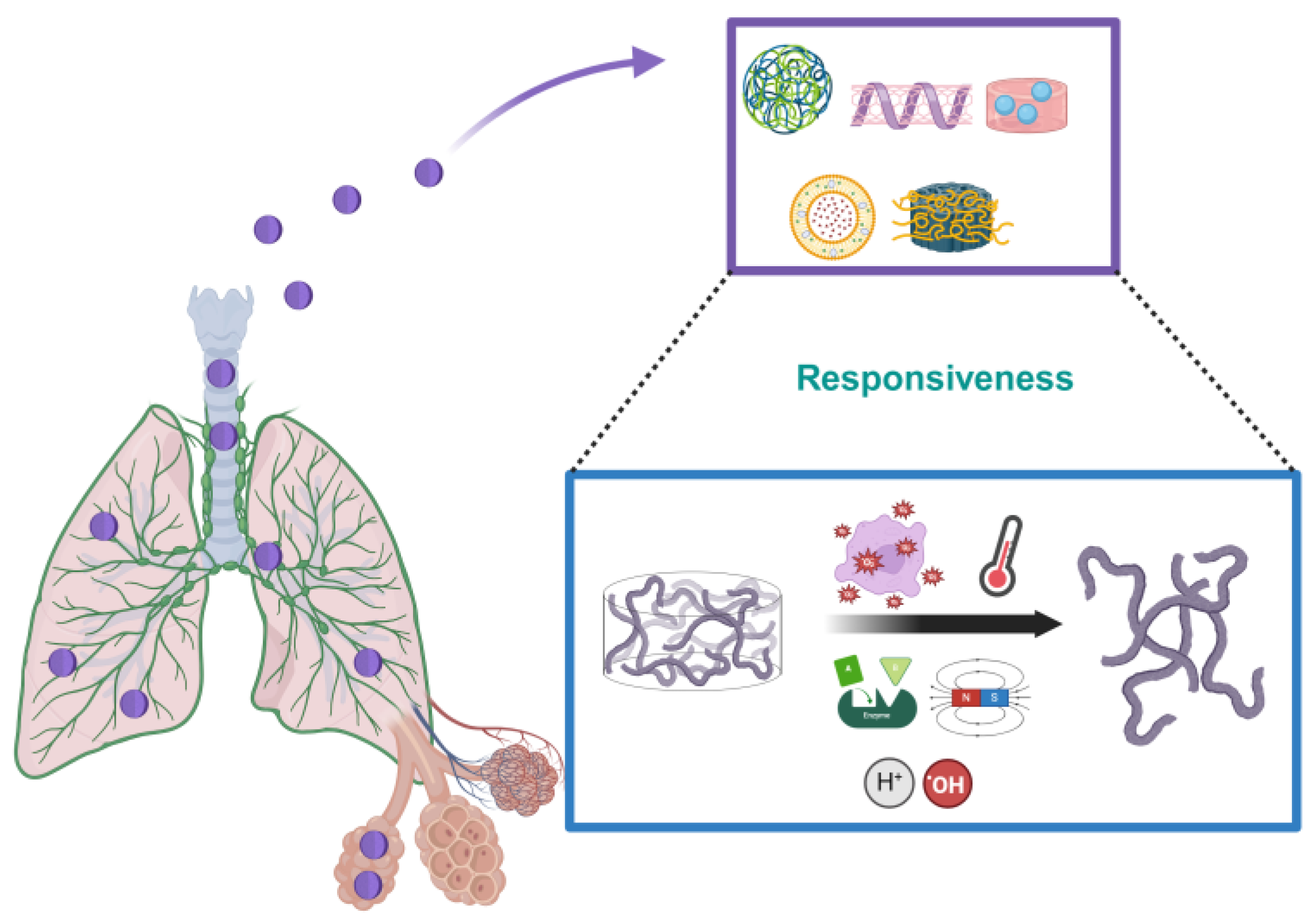Macromol 04 00029 g001