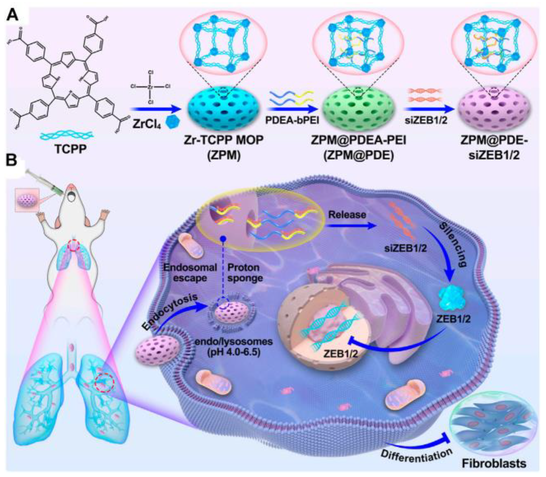 Macromol 04 00029 g002
