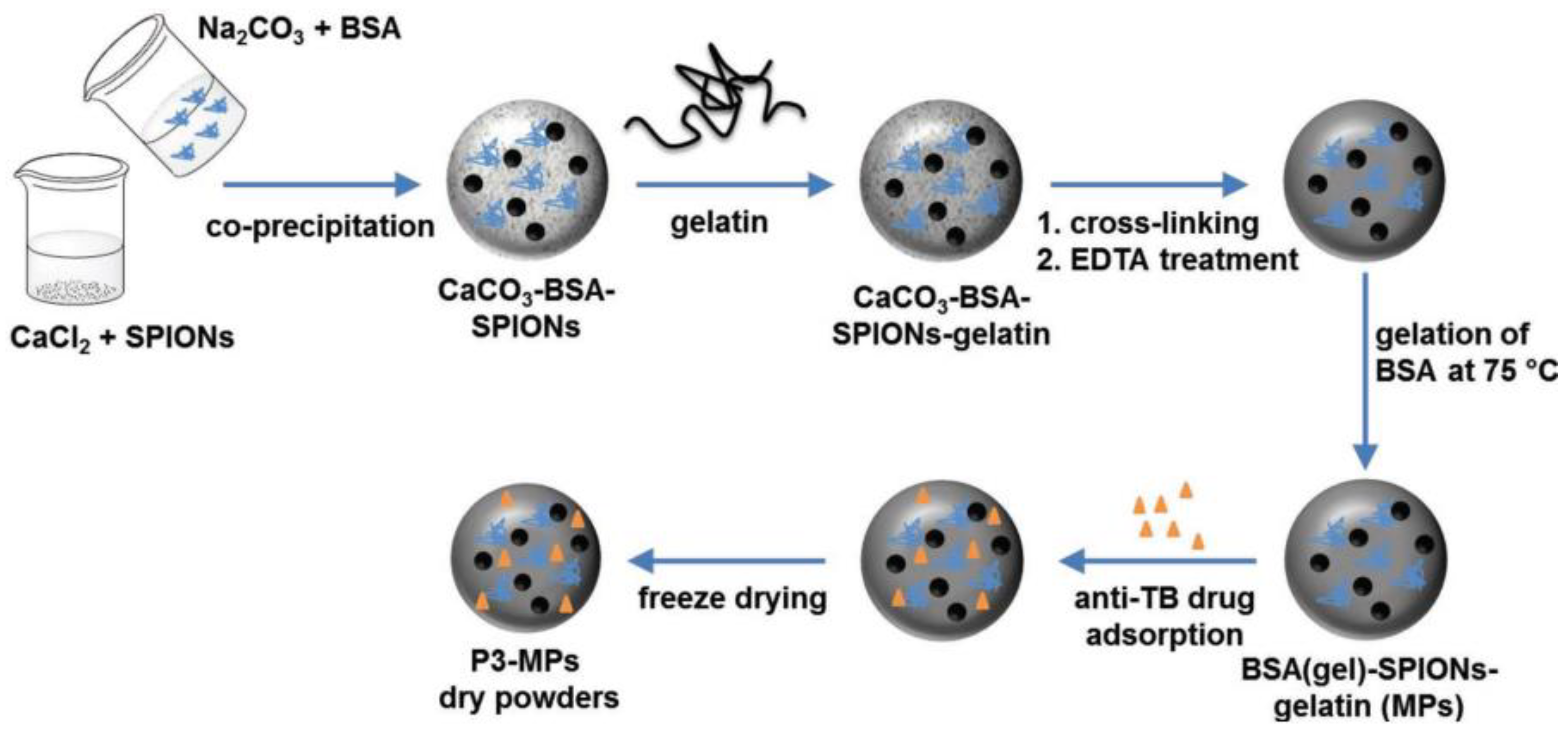 Macromol 04 00029 g005