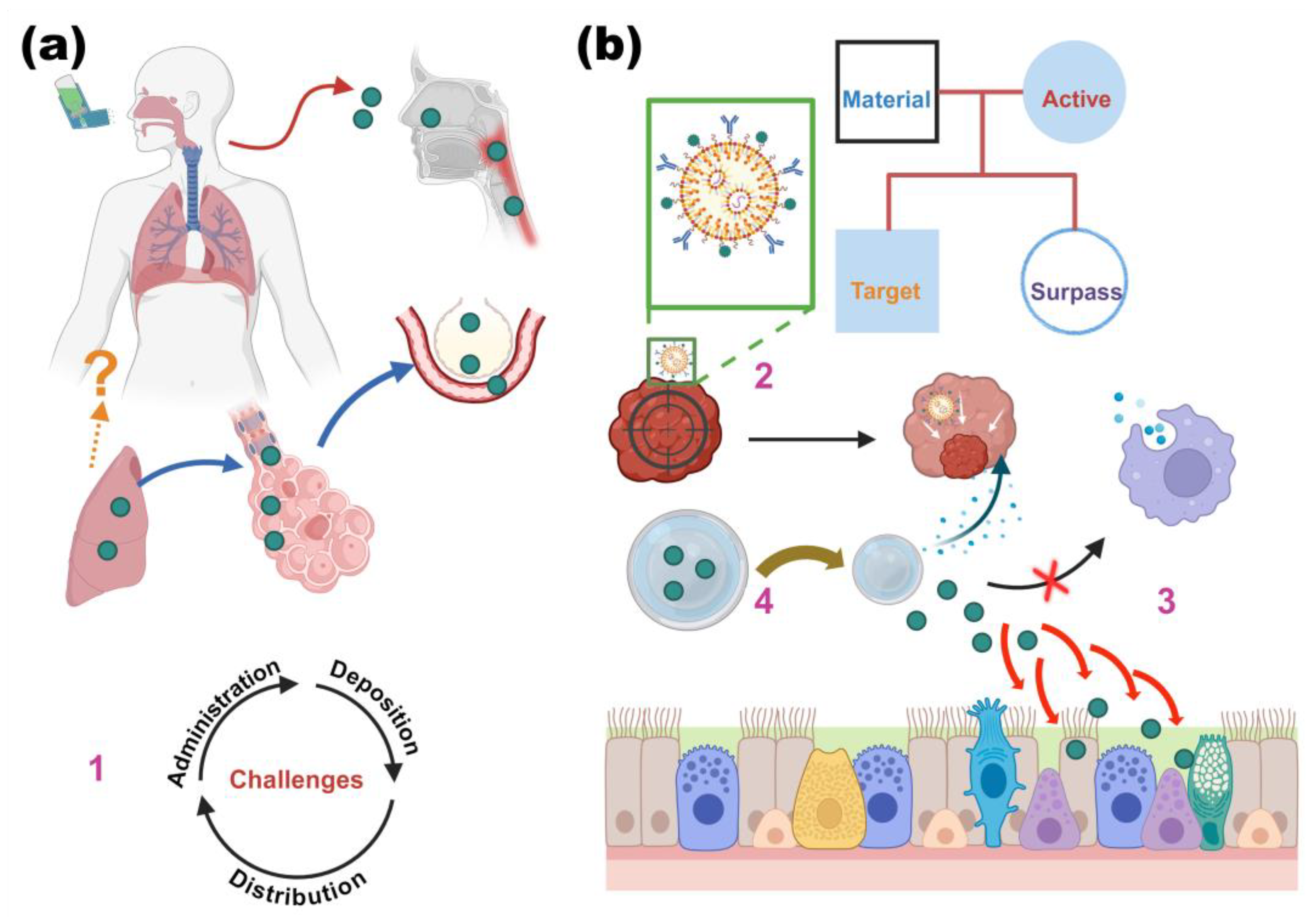 Macromol 04 00029 g006