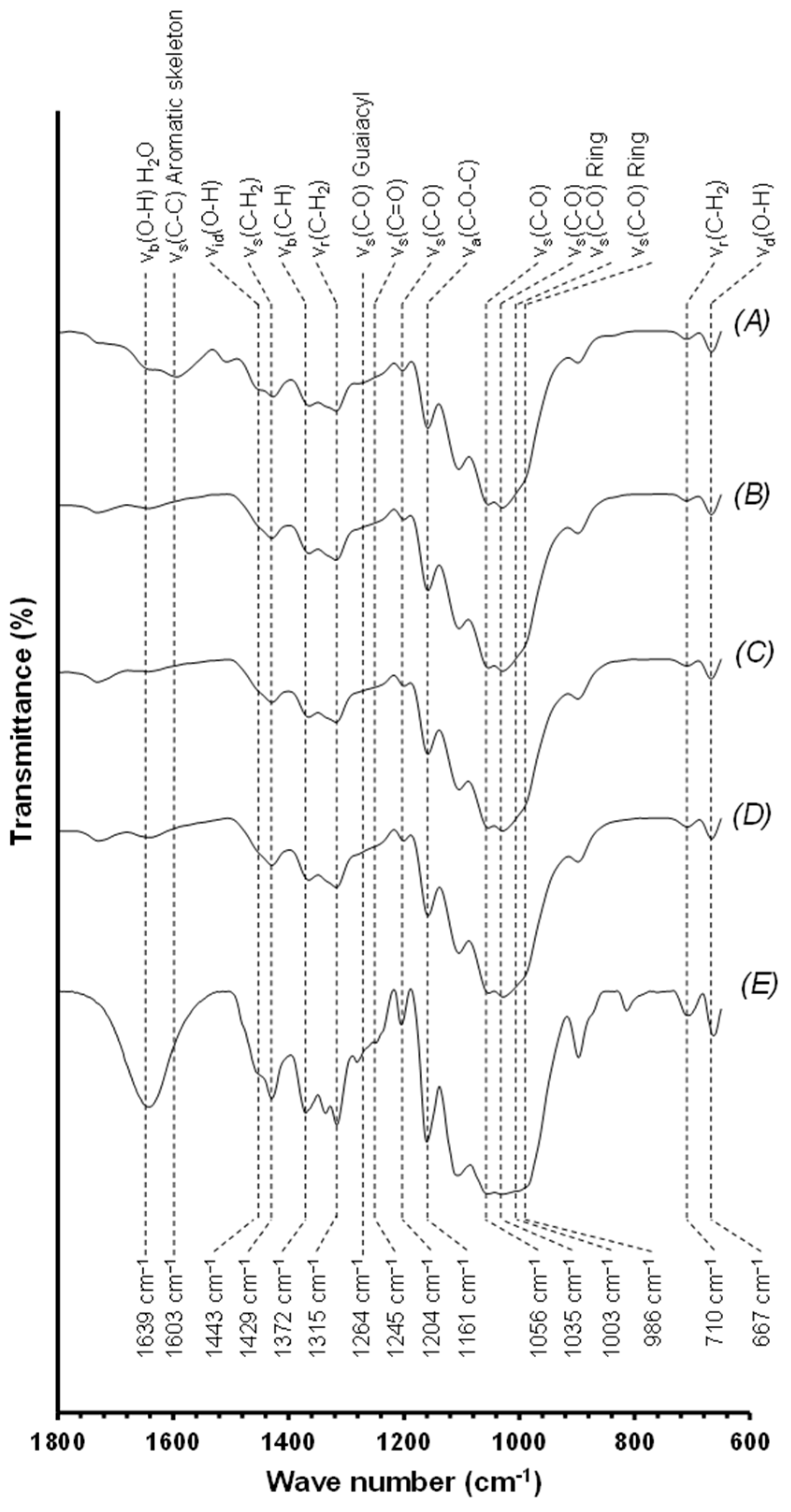 Macromol 04 00039 g006
