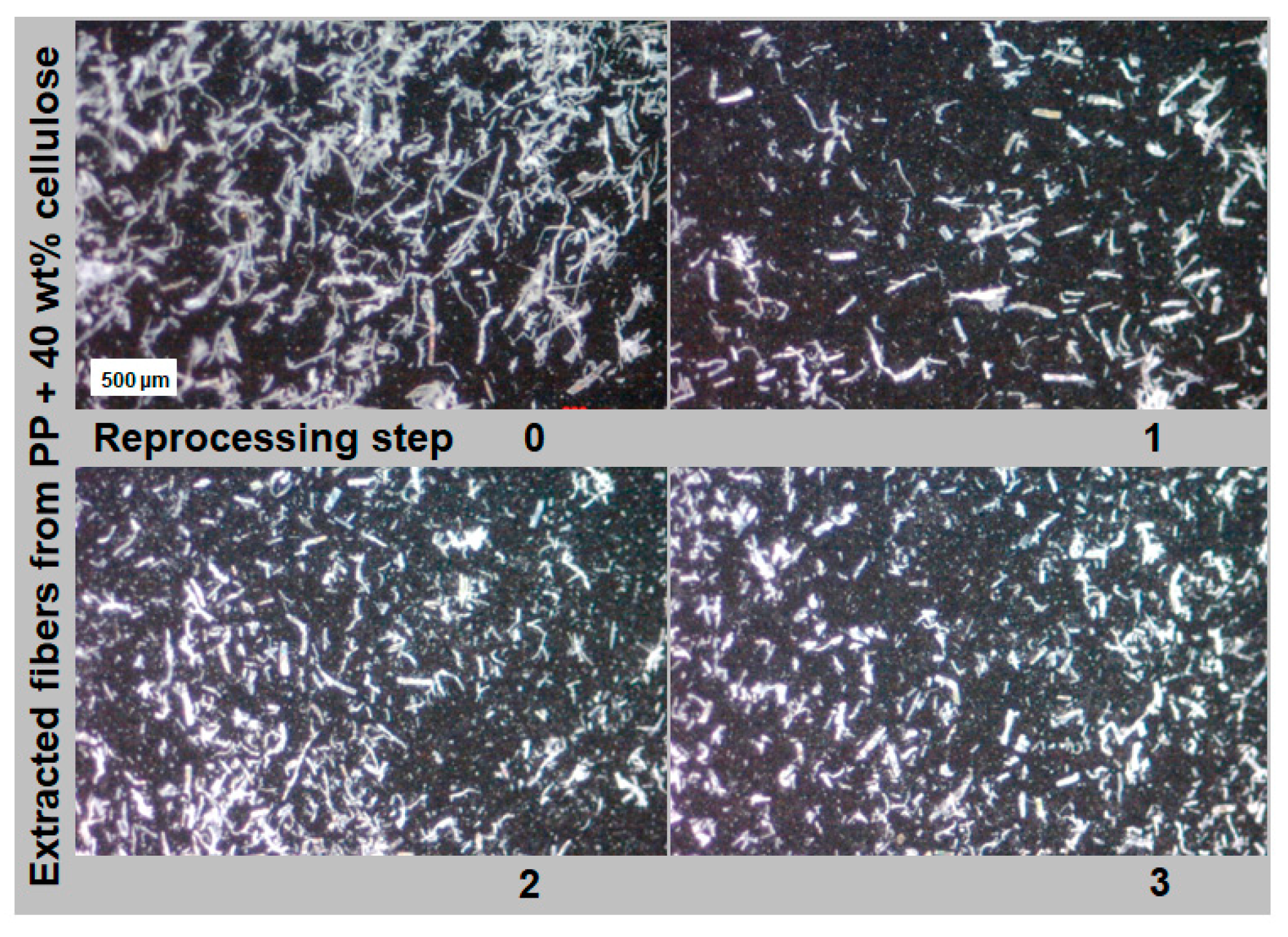 Macromol 04 00043 g012