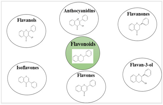 Use of Encapsulated Polyphenolic Compounds in Health