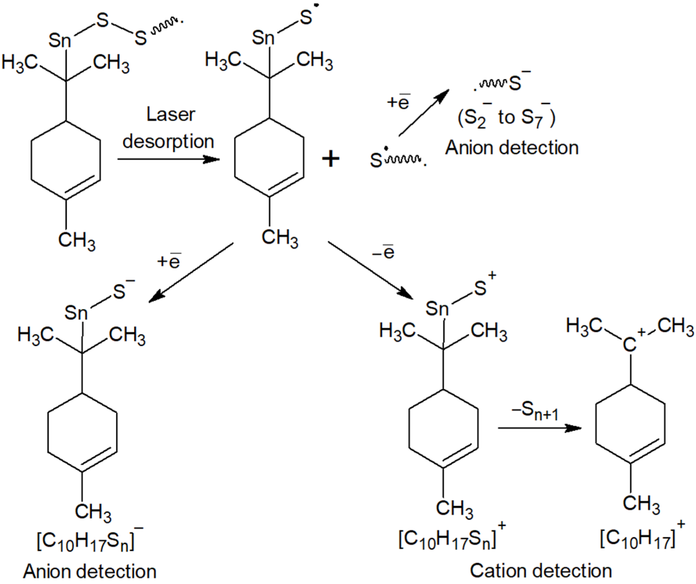 Macromol 04 00050 g008