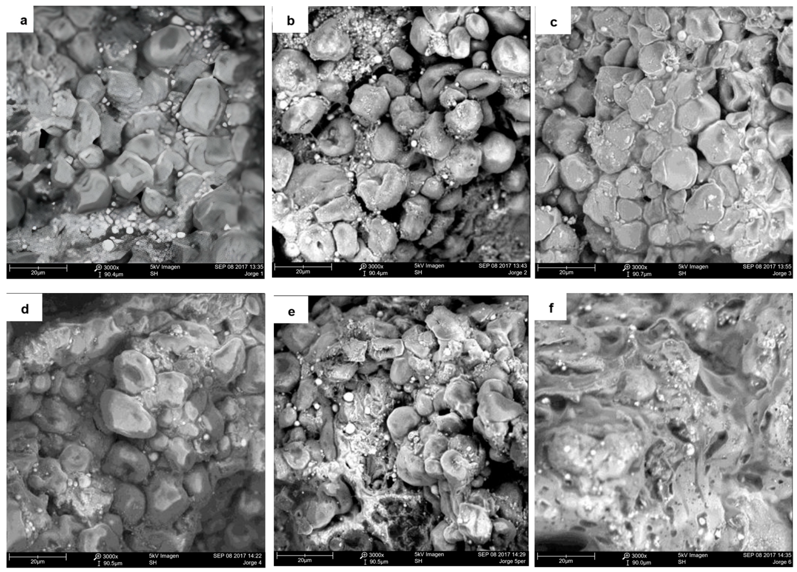 Macromol 05 00001 g002a
