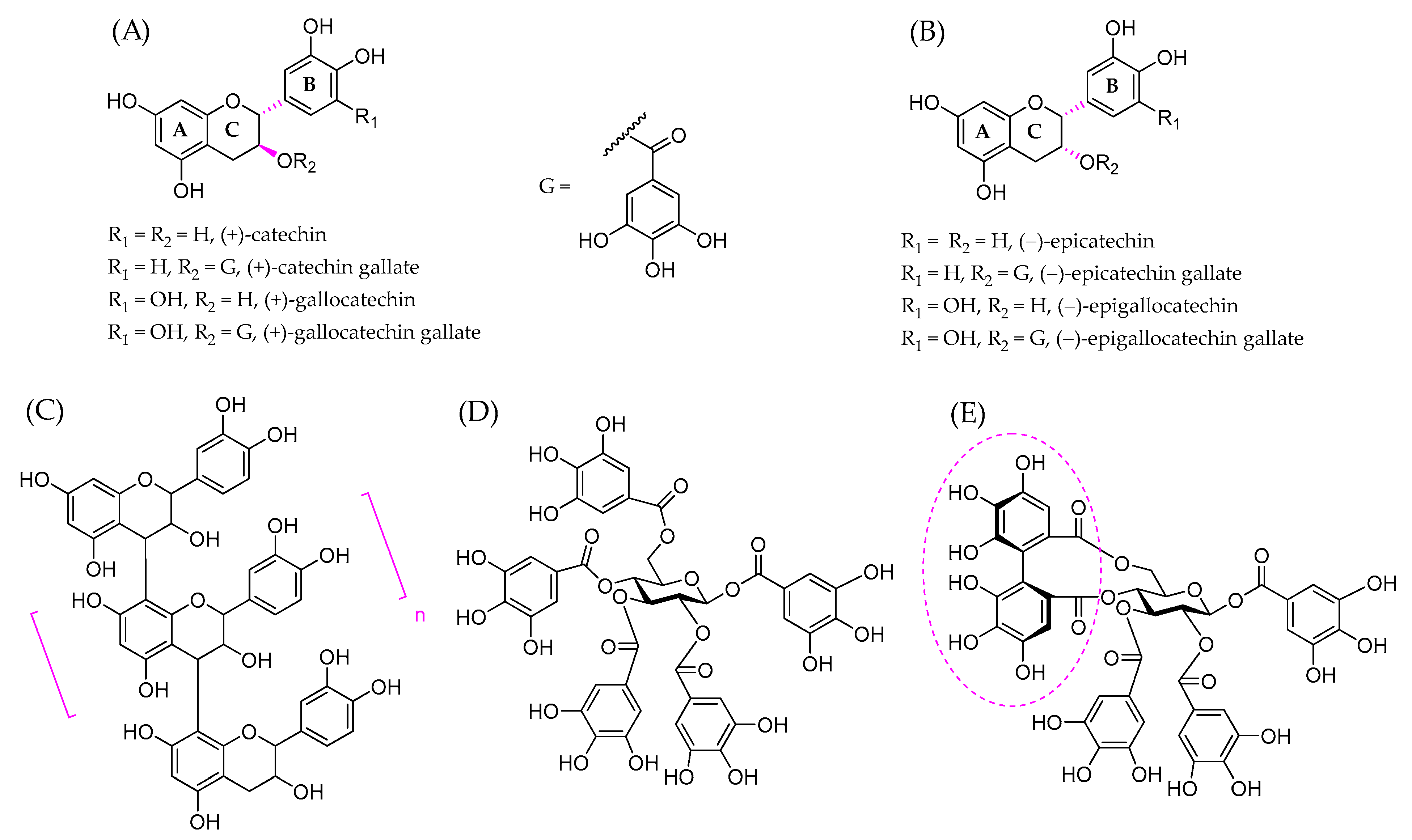 Macromol 05 00002 g001 Macromol 05 00002 g001