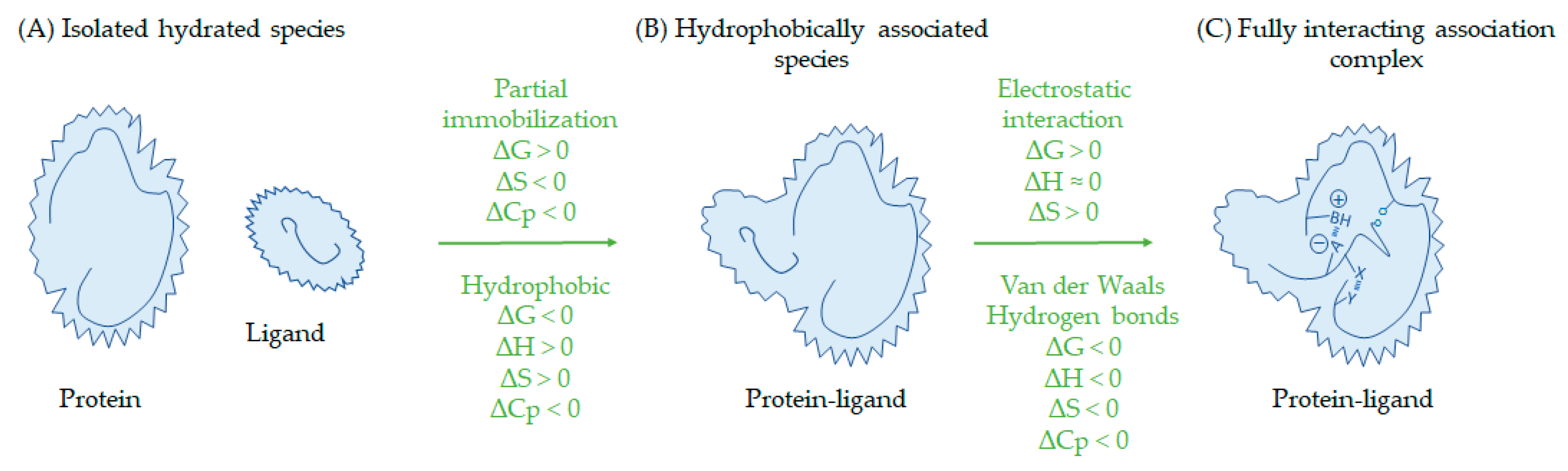 Macromol 05 00002 g004 Macromol 05 00002 g004