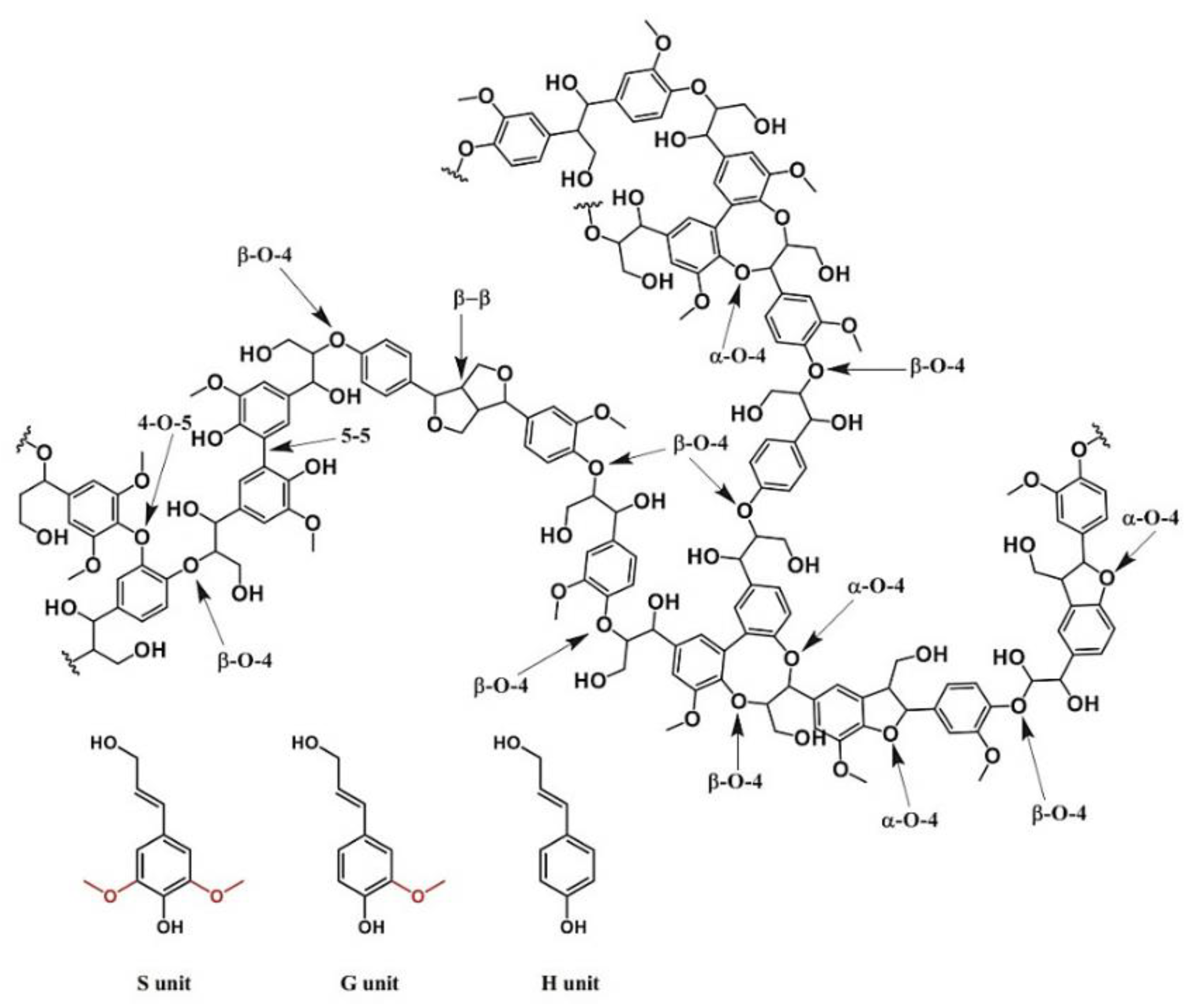 Macromol 05 00005 g001