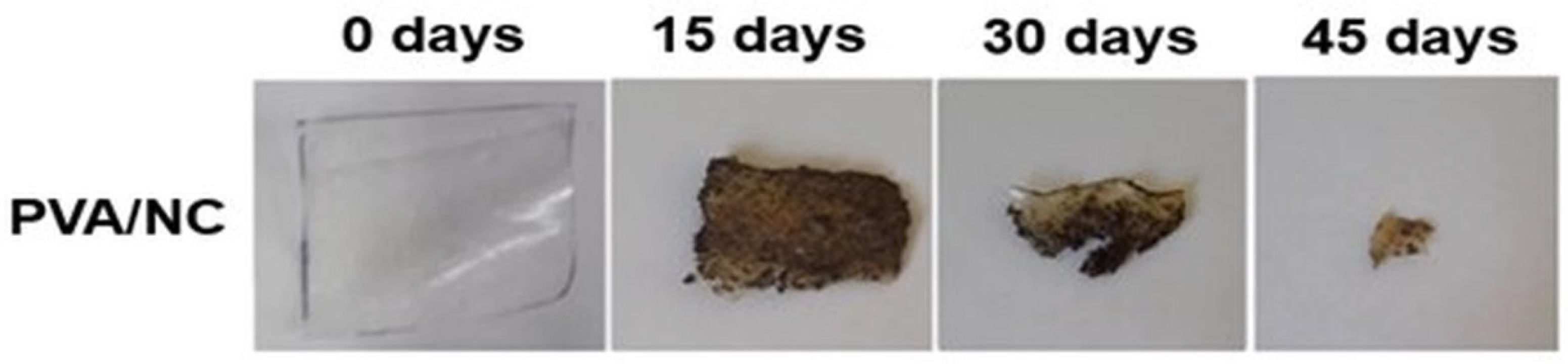 Macromol 05 00006 g010