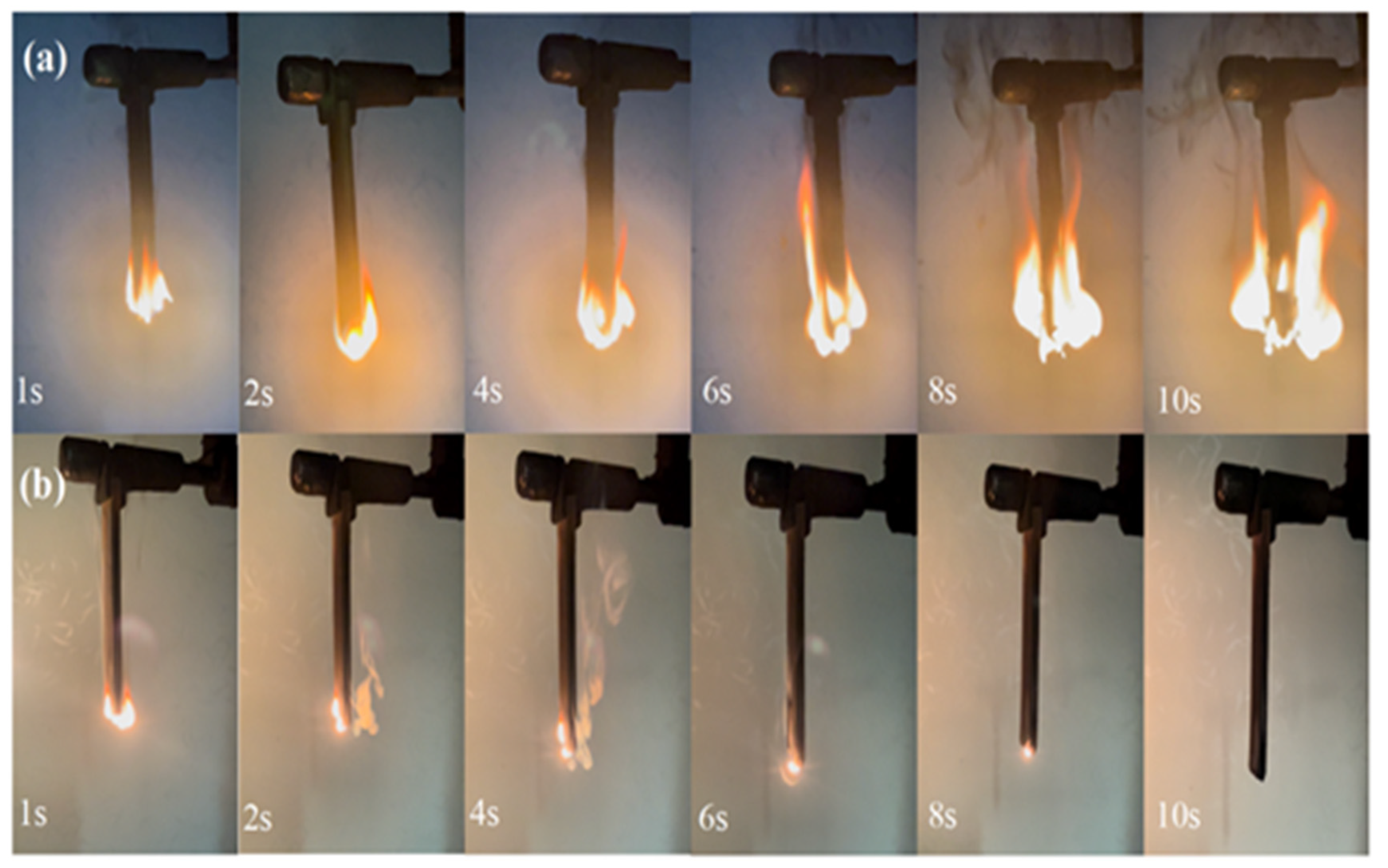 Macromol 05 00009 g004