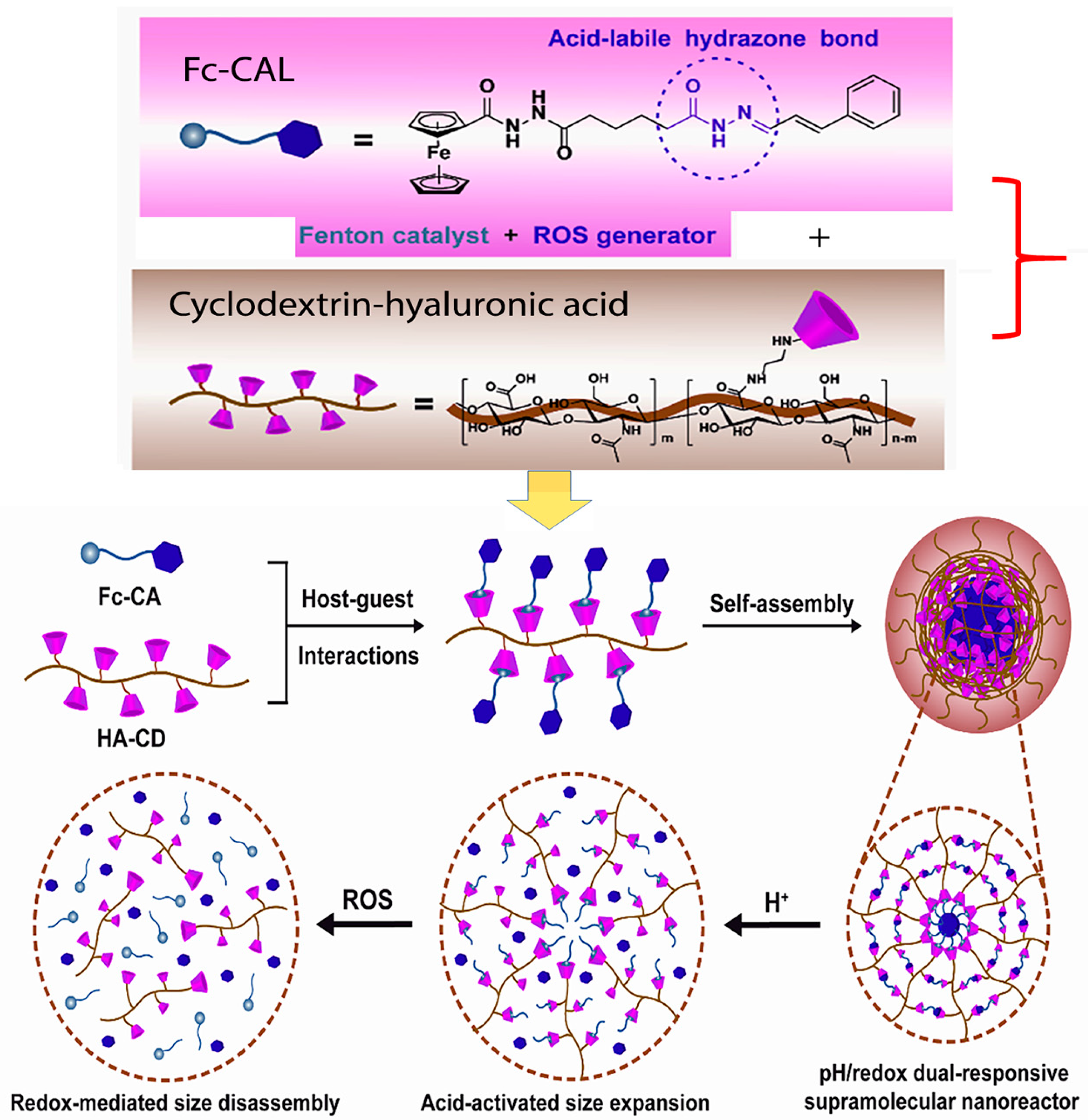 Macromol 05 00013 g005